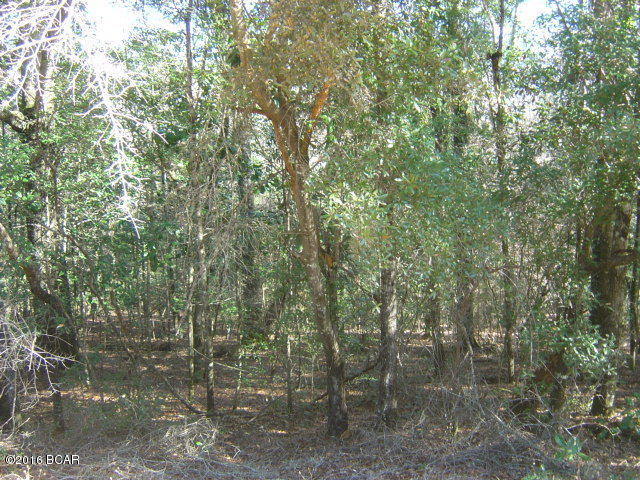 Compass Lake In The Hills - Land