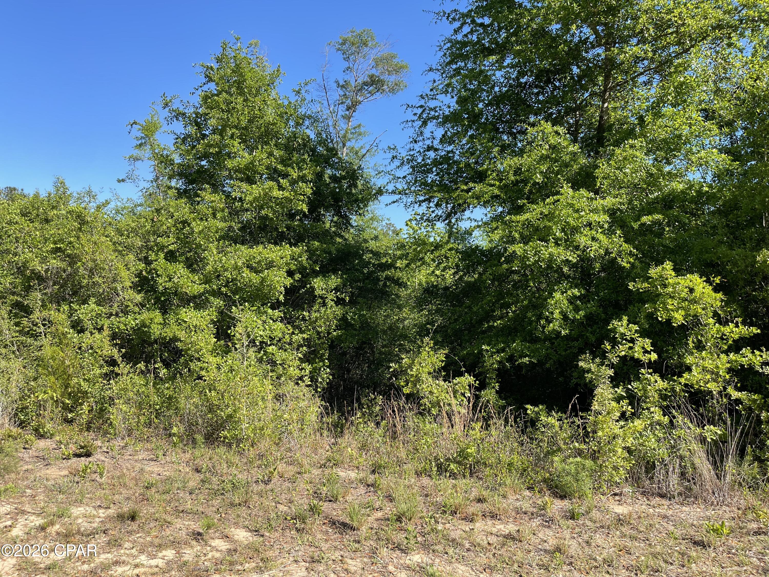 Compass Lake Hills Unit 3 - Land