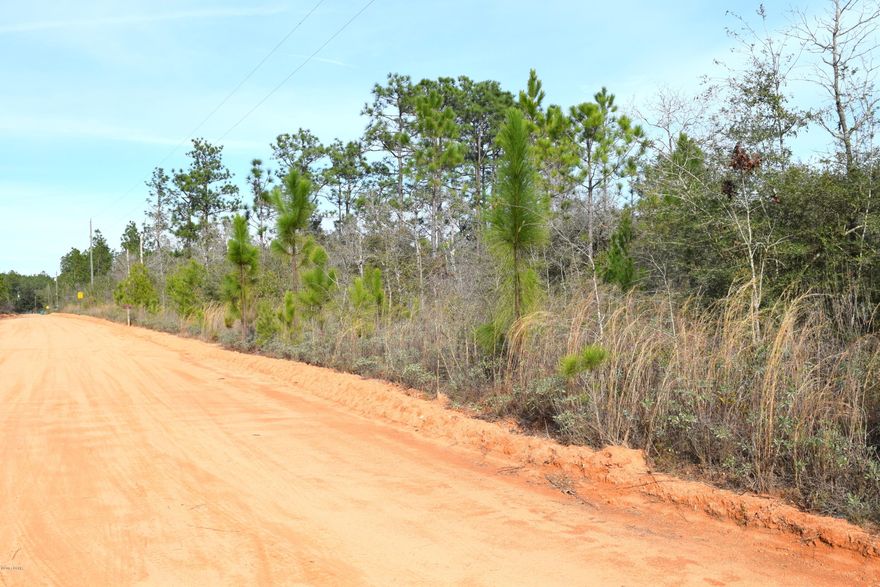 ***OWNER FINANCING AVAILABLE*** QUIET   9.92 ACRE TRACT OF LAND LOCATED ON THE CORNER OF BUCKHORN BLVD AND EASY STREET WOULD MAKE A GREAT HOMESITE OR INVESTMENT PROPERTY. THIS LOT IS PRIMARILY WOODED AND OFFERS MULTIPLE SITES FOR A MOBILE HOME OR NEW CONSTRUCTION.