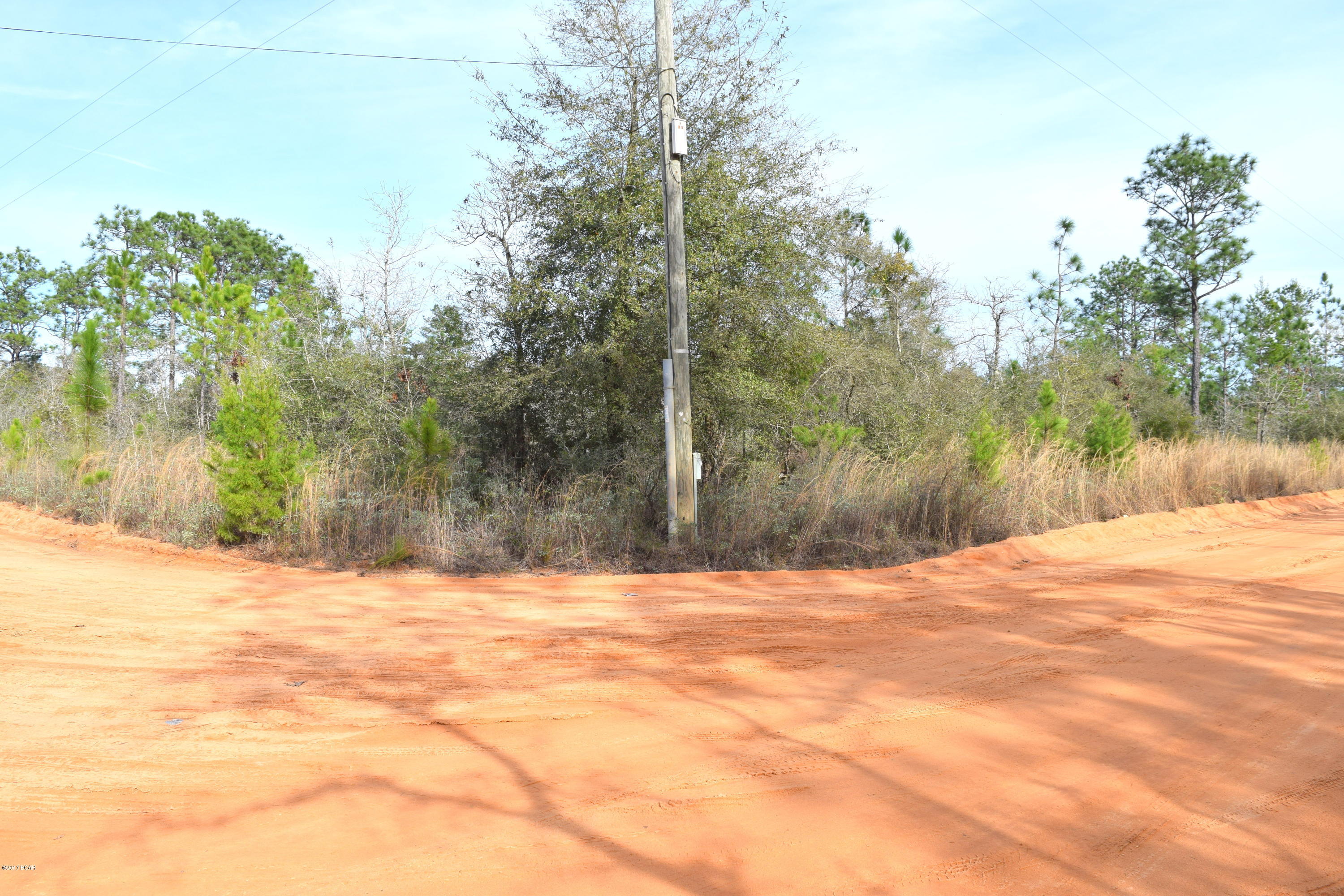 Buckhorn Creek - Land