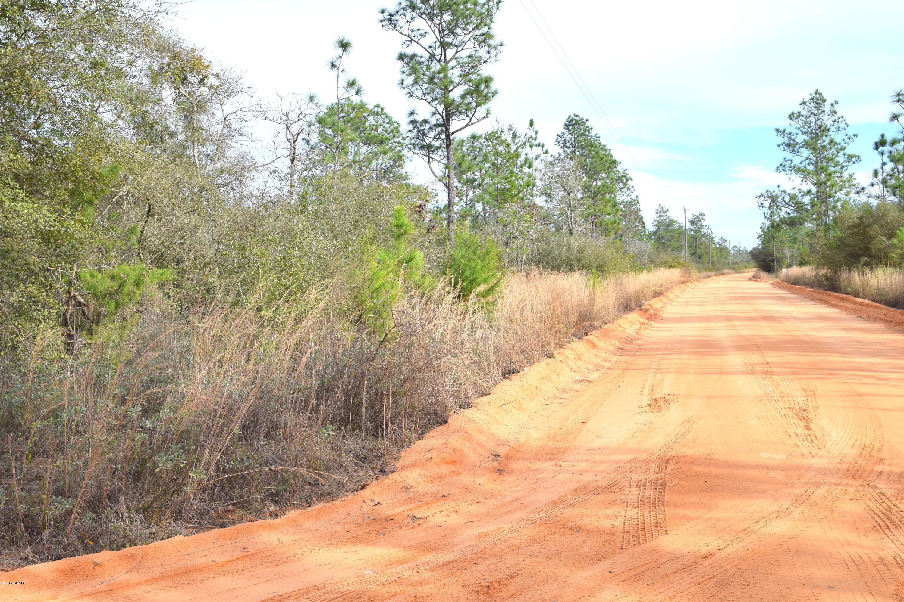 Buckhorn Creek - Land
