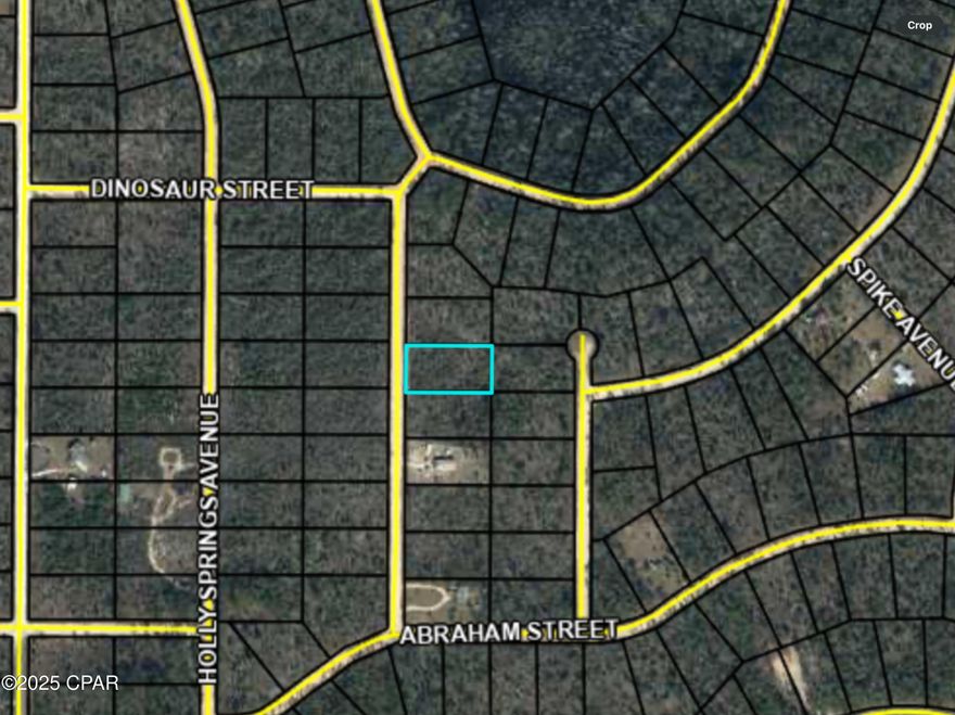 Beautiful residential lot located in the Compass Lake in the Hills Subdivision. HOA is voluntary but gives you access to a lot of amenities if you do choose to pay for it which includes access to 2 gorgeous lakes, cabin rentals, pavilion use, swimming pool, golf, boat launch ramp & some RV facilities. Located a short drive from Panama City Beach, Tyndall Air Force Base, & Panama International Airport in one direction with Marianna, Fl. & Dothan, Alabama in the other direction. If you enjoy peace, quiet, & seclusion, this is the opportunity for you to build your home & watch the wildlife, swim, & fish