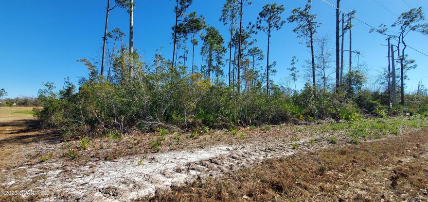 Large parcel of land almost 3 acres  (2.71) near town and 30 minutes to the beaches.   Peaceful and quiet area of Bayou George on a county maintained road.    Build your home here and bring your horses!