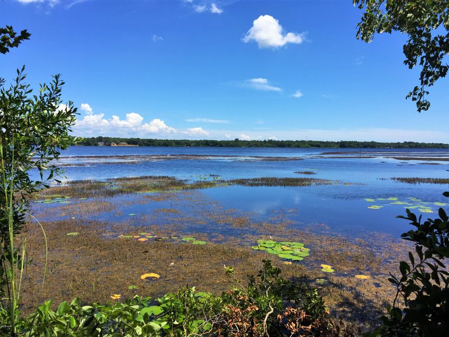 /*/*/*/ DEERPOINT LAKE DREAM LOT /*/*/*/ -----Nearly 1 full ACRE on DEEPWATER on the Lake!------ Tucked back under a canopy of beautiful oaks, sits this GEM. The lot is in a secluded 8 parcel cul-de-sac and has over 200 feet of lake frontage. Do yourself a favor and go see this one in person. (All school zones and measurements are approximate and should be verified by buyer if important.)