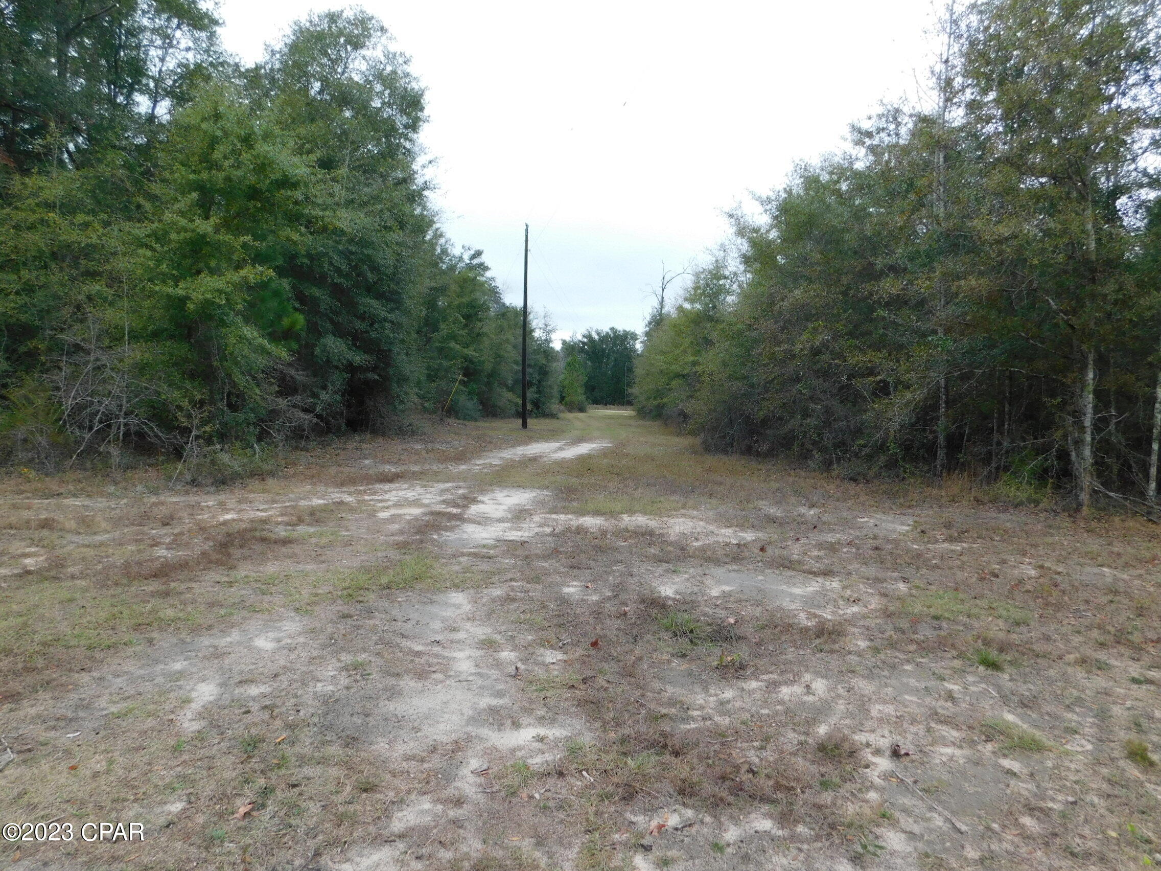 Whispering Pines - Land