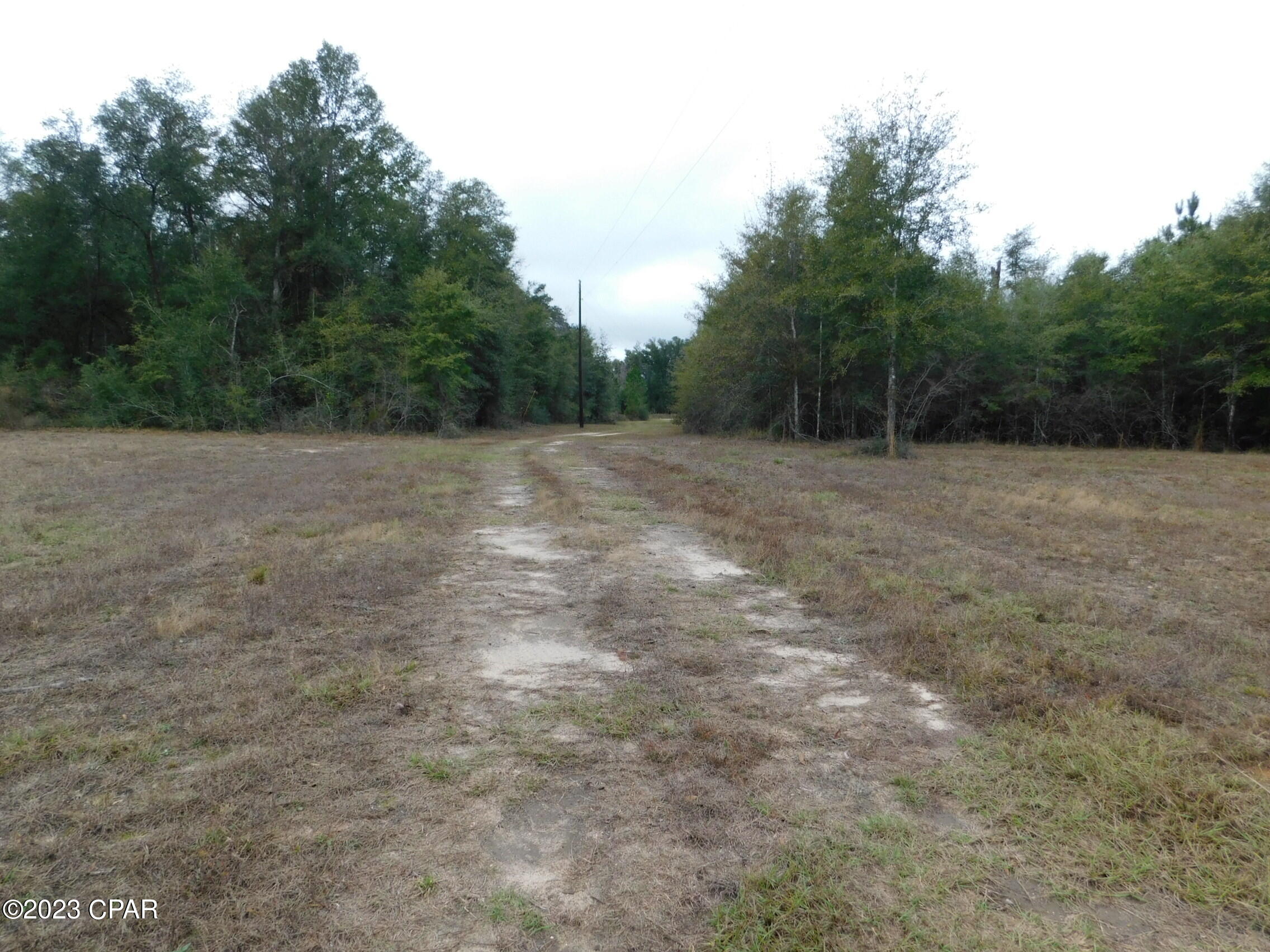 Whispering Pines - Land