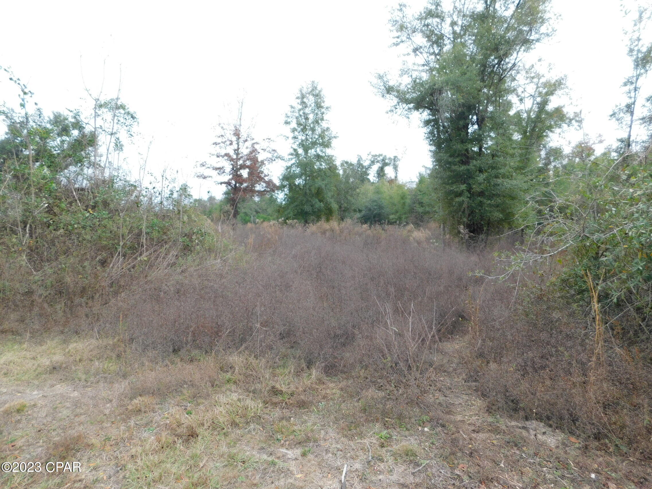 Whispering Pines - Land