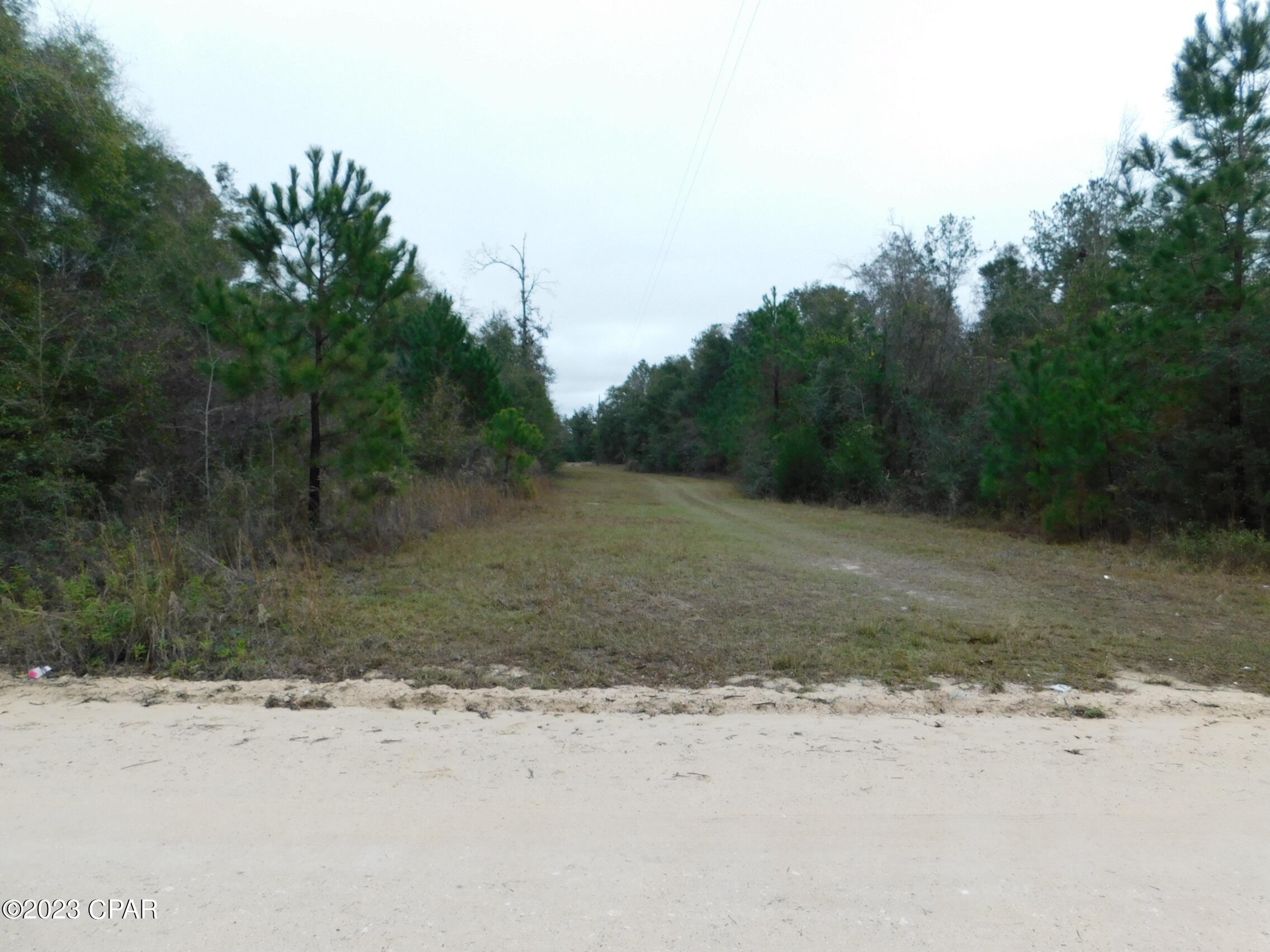 Whispering Pines - Land