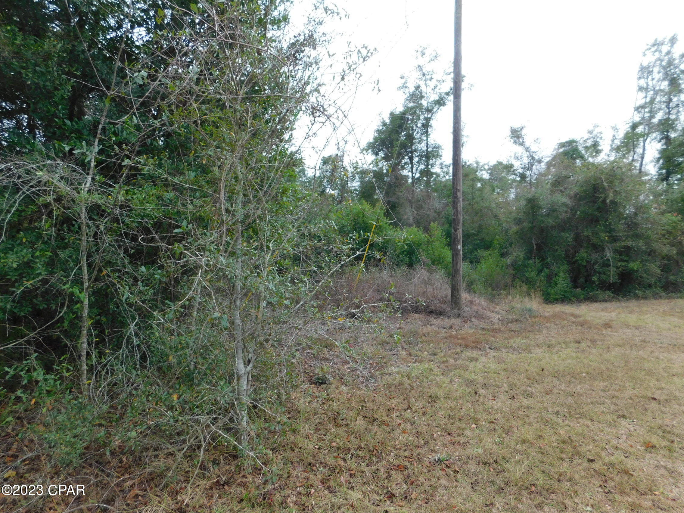 Whispering Pines - Land