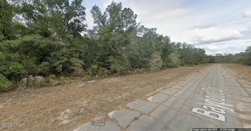 Nice building lots for single-family homes in the quickly growing subdivision of Sunny Hills!! ...what are you waiting for...Sunny Hills boasts the magnificent Sunny Hills Golf and Country Club!! No time frame to build in...homes only subdivision, no mobile homes...no HOA!! Power lines are at the end of the street. Come build your dream home now!! Don't miss out, call today!!!