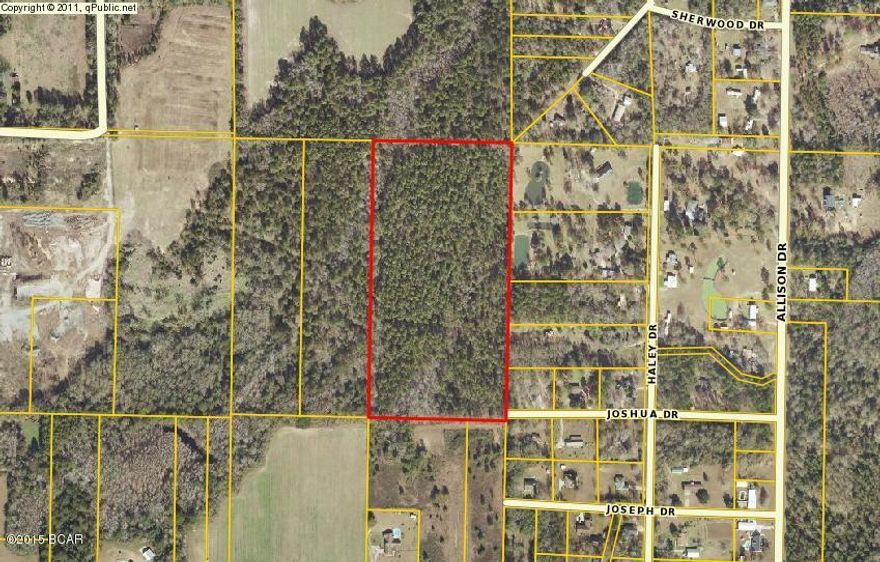 BEAUTIFUL 20 AC. PARCEL OF LAND TO BUILD YOUR NEW HOME OR RECREATIONAL LAND. PROPERTY IS LOCATED JUST EAST OF CHIPLEY AND ABOUT AN HOUR FROM PANAMA CITY BEACHES. COUNTRY LIVING BUT CLOSE TO TOWN. THIS IS A MUST SEE PROPERTY.