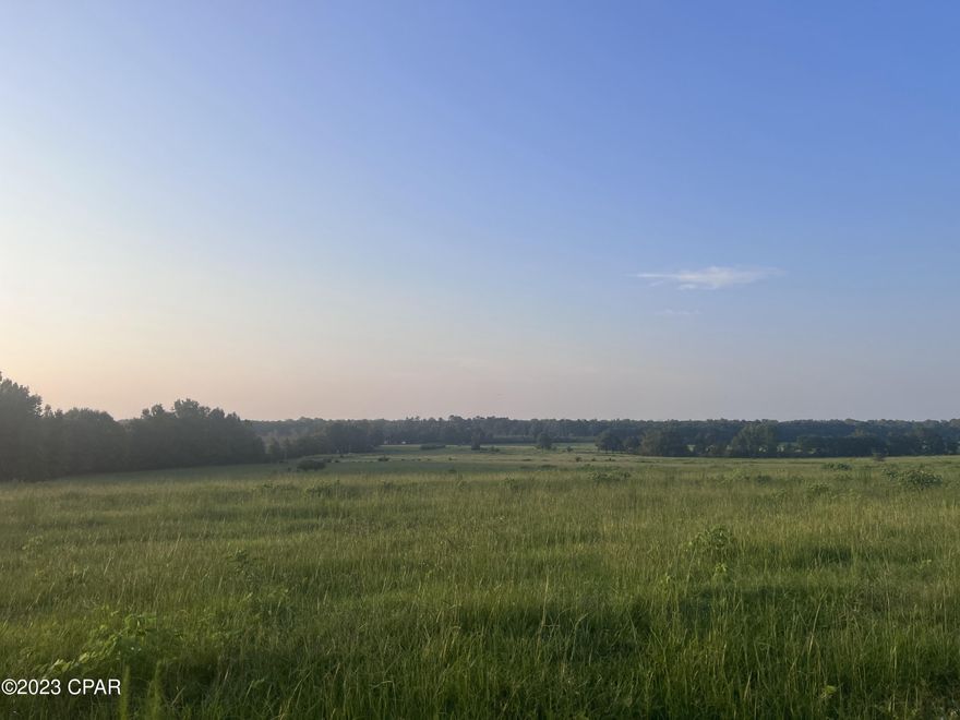 Back on the market due to no fault of the seller! Quiet country living on 20 or more beautiful acres. Farm, raise animals, hunt, or build your home here. The property is located right under the Alabama state line, on the northwest corner of Holmes County, in Florida.  Arnold Rd. is on a dead end. Lots of privacy for your future plans. Road frontage on Arnold Road. approx 1300ft & close to the Pea River. Buyer will need survey.

Call today for your appointment!