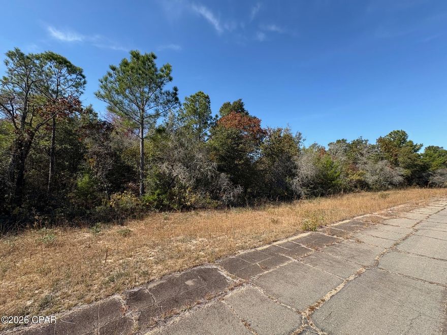 Attention INVESTORS... large .62 acre oversized lot! Don't miss this exceptional opportunity to own an huge 1/2 acre plus building lot in Unit 7 of Sunny Hills, located at Lot 37 on Coronado Drive. This big lot backs up to a large, wooded, 84 acre Deltona owned parcel. This property provides excellent rear privacy and a peaceful natural setting. Even better, Lot 38 next door is also available from the same seller at the same price, providing a rare opportunity to own side by side lots for added space, flexibility, or future development options. Do not delay, call today!