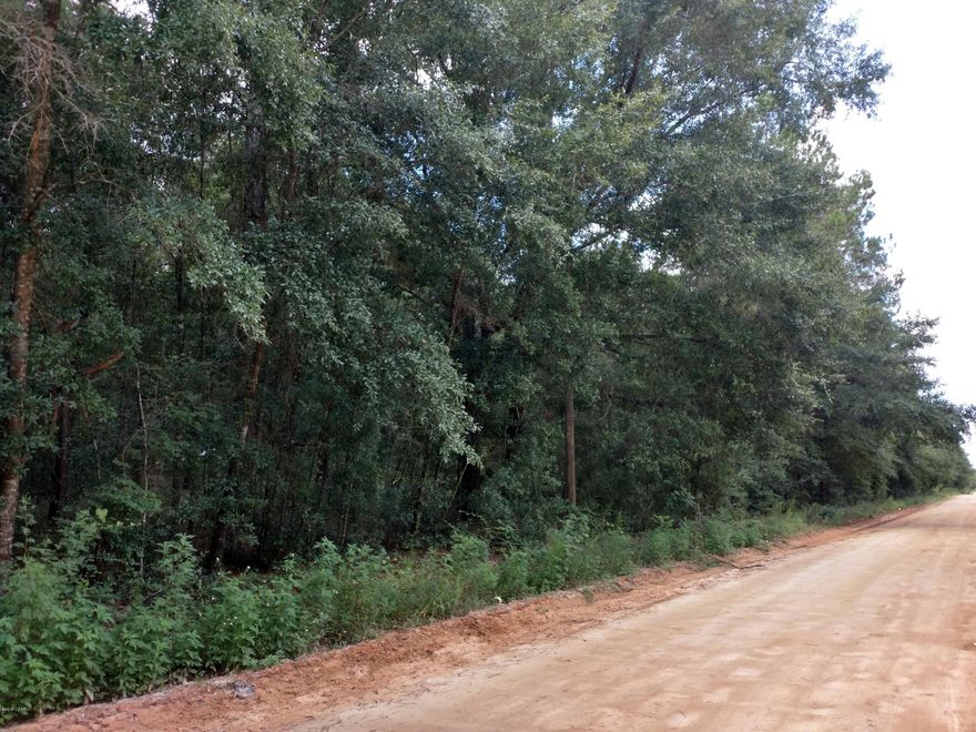 Beautiful lot with Magnolia Trees and Beautiful Oaks, close to HWY 231...There are 5 lots together, Lots 5, 9, 11, 13 and 15..Seller prefers selling all five together, however, they are subdivided and they can be sold separately as well...Owner Financing Available with 25-30% down, 2 yrs term at 7.5% interest rate, No Prepayment Penalty --