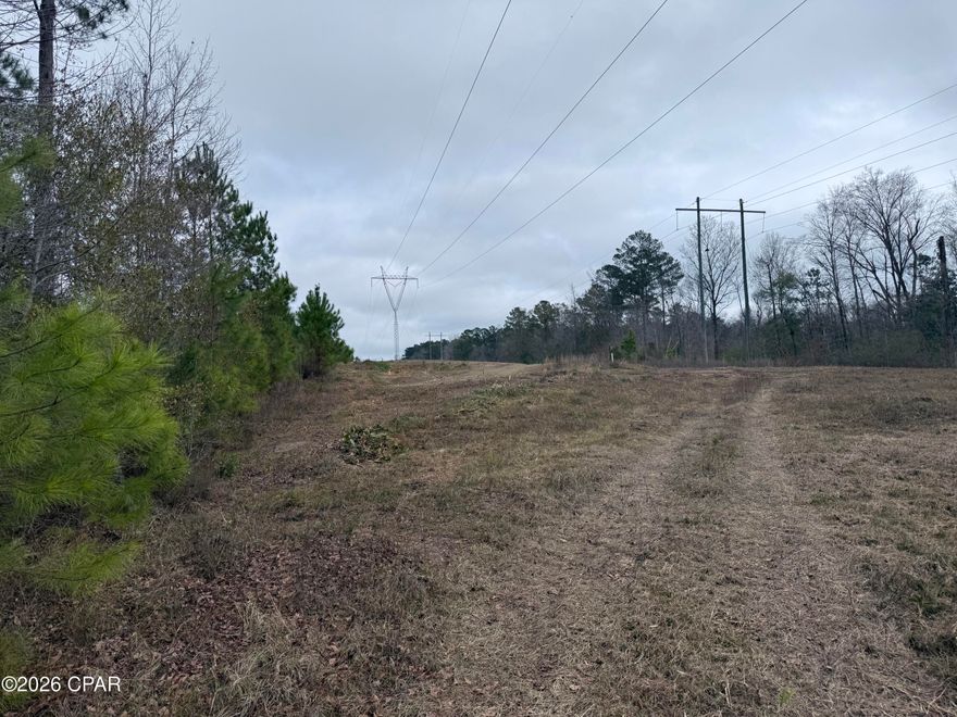 80± Acres - Chattahoochee, Florida

Discover the beauty and potential of this 80-acre tract in Chattahoochee, Florida, offering a rare combination of planted pine timber, partially cleared land, and gently rolling hills. This versatile property provides the perfect blend of natural privacy and usable acreage, making it ideal for recreational, hunting, or investment purposes.

The established pine plantation not only adds scenic appeal but also provides future timber income, while the open and cleared areas offer space for food plots, trails, a hunting camp, or a private retreat. The rolling terrain adds character, beautiful views, and natural drainage—features not commonly found in this area.

This property is well-suited for deer and turkey hunting, outdoor recreation, or those seeking a quiet escape surrounded by nature. Whether you envision a sportsman's getaway, timber investment, or rural homestead, this land delivers space, beauty, and opportunity.

Located just outside Chattahoochee, you'll enjoy the peace of country living with convenient access to town, the Chattahoochee River, and nearby outdoor attractions.