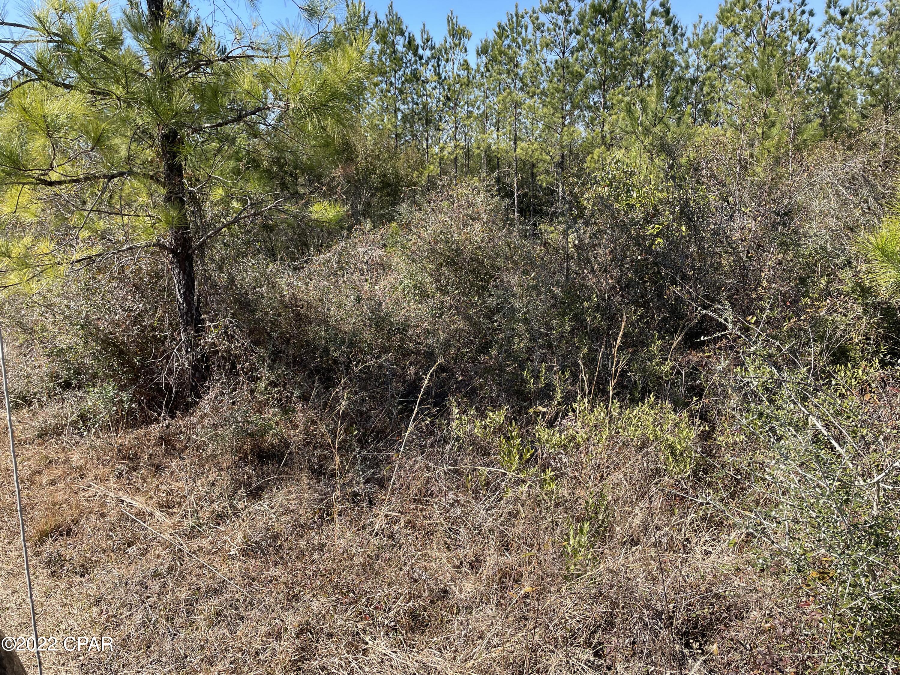 No Named Subdivision - Land