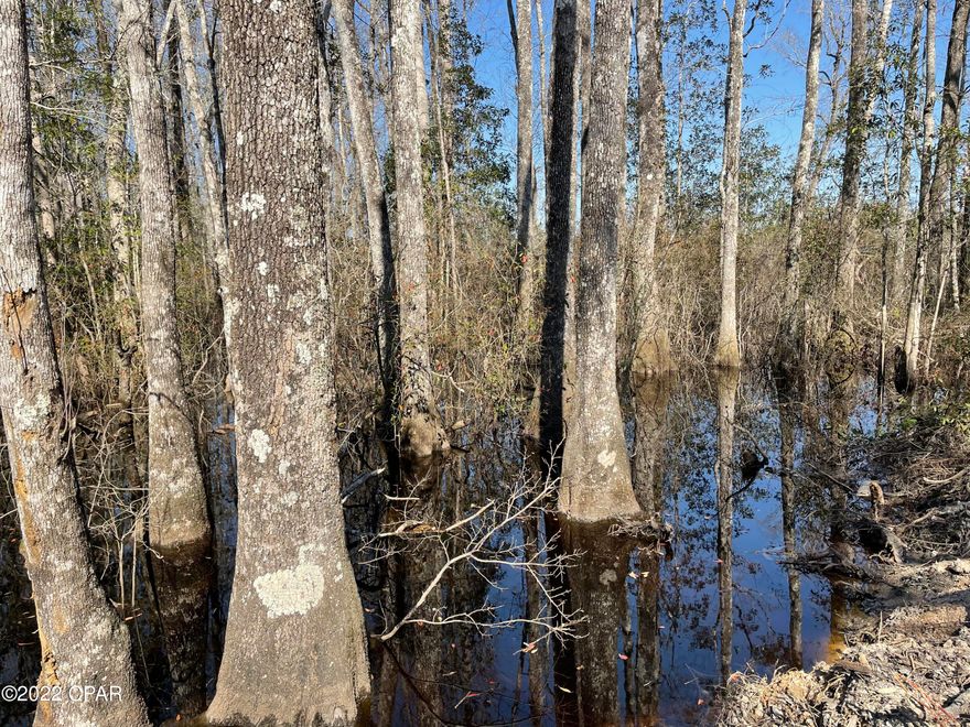 Nice property some high land and some low land on property, also a pond , Hard Labor Creek bottom flows thru property, Some acreage with planted pines .