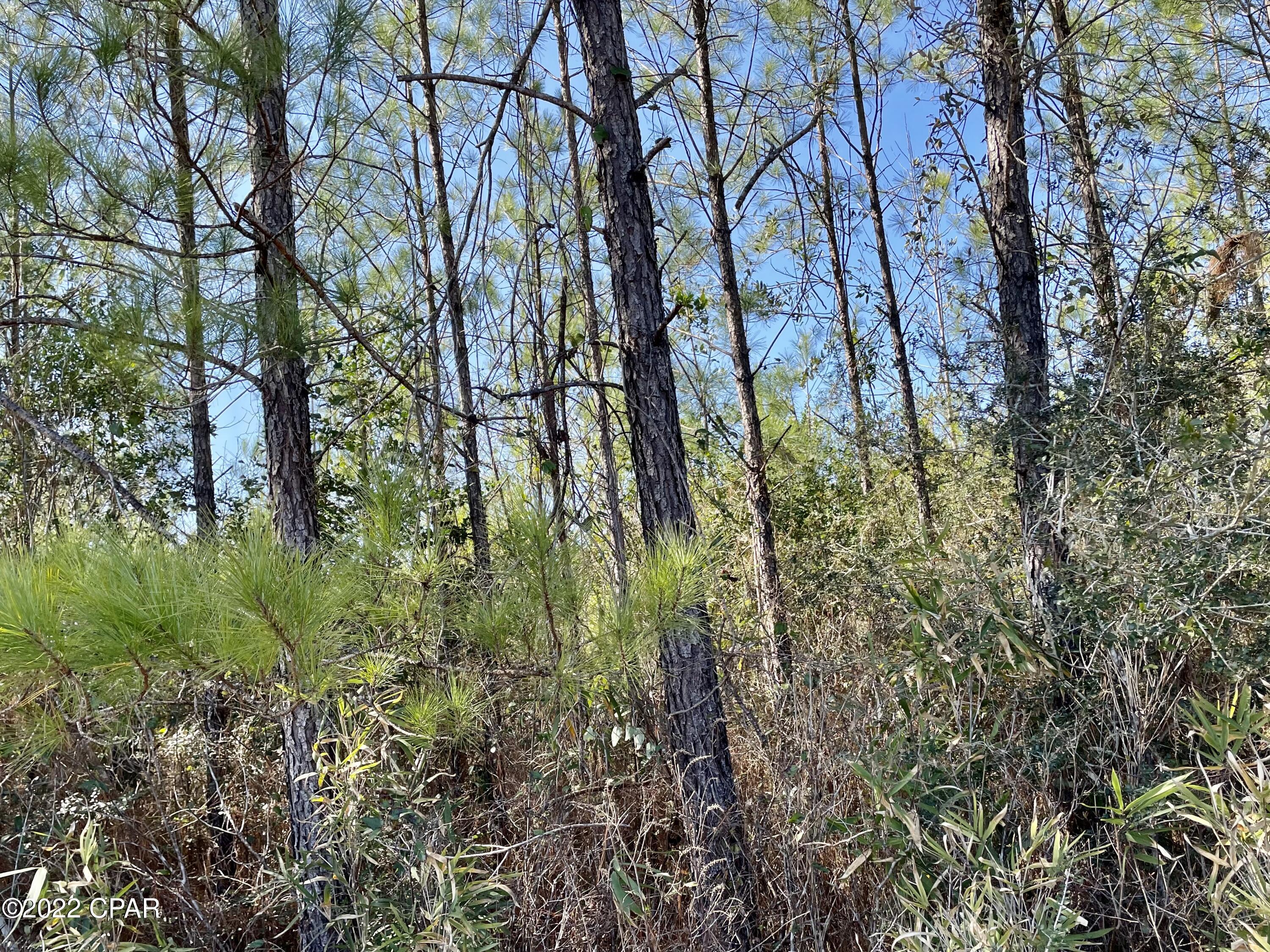 No Named Subdivision - Land