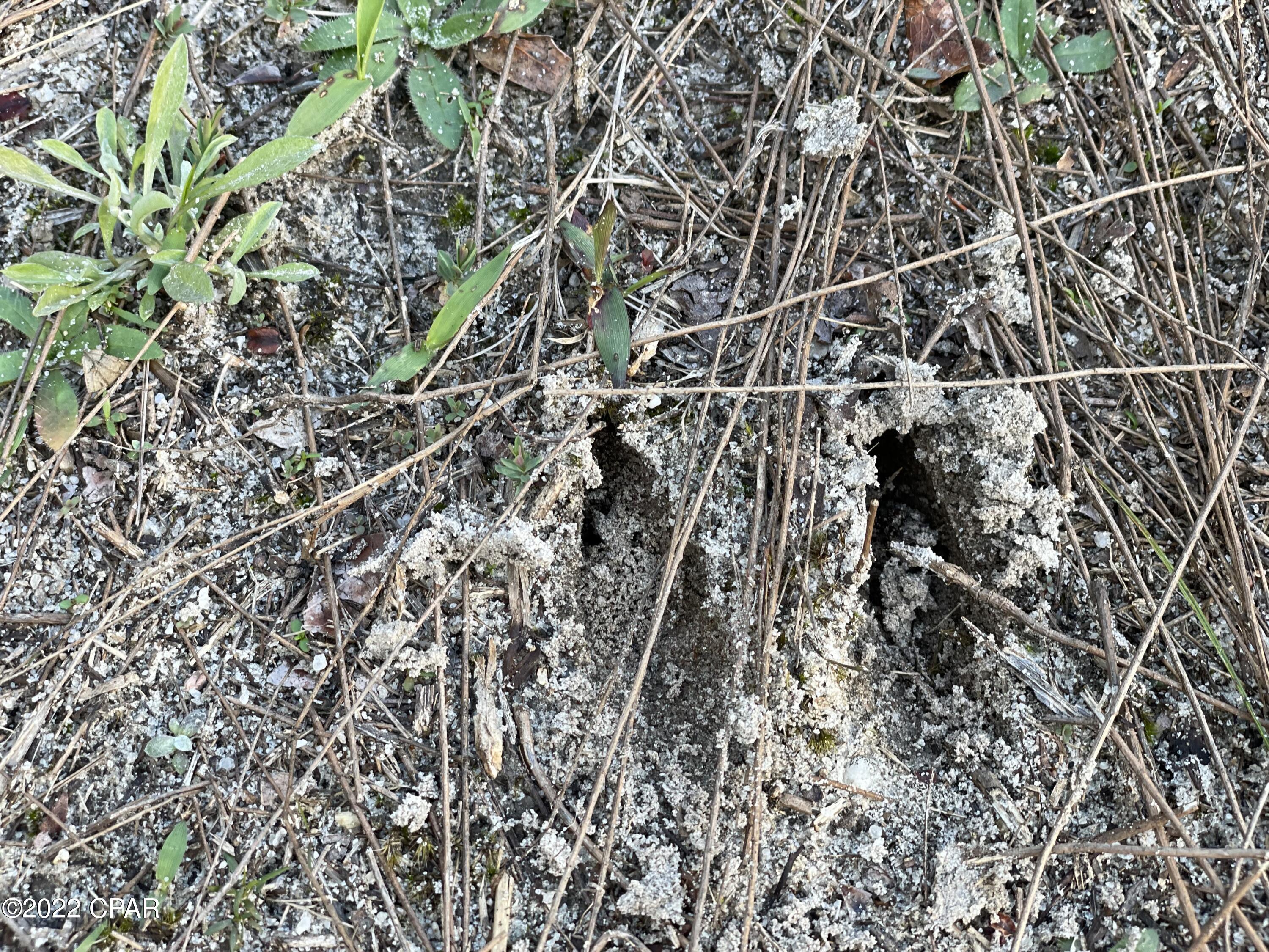 No Named Subdivision - Land