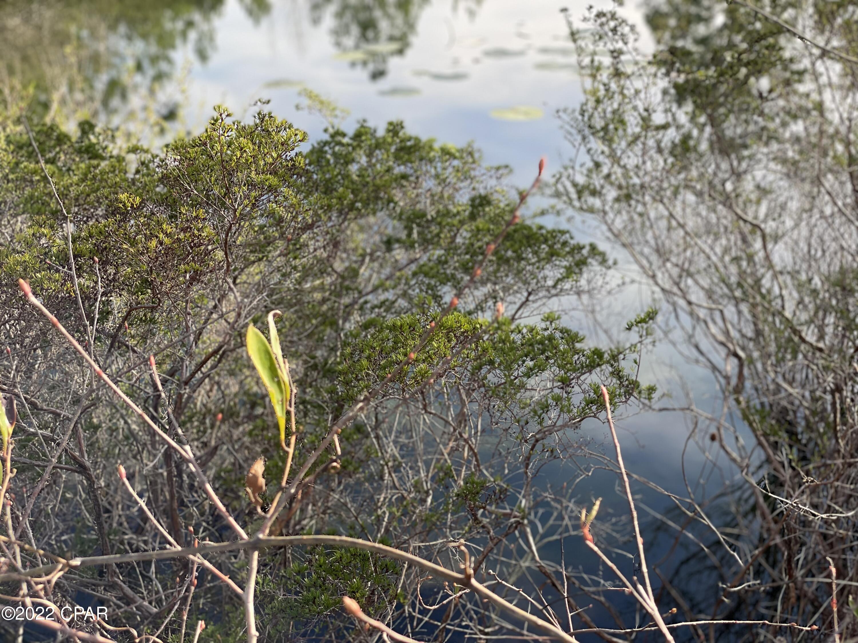 No Named Subdivision - Land