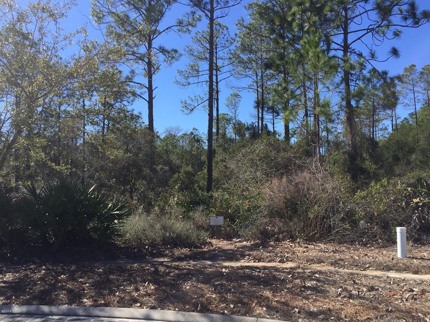 This home site in Cedar Woods backs up to Watercolor's natural conservation space which gives desired privacy.  The dimensions should allow for plans with large porches, garages, and carriage houses.  Watercolor on 30A is where you want to be....Five pools, tennis, kayaks, canoes, yolo, bike trails, beach service, parks, shopping, dining, and a club house on the beach.  This is ready for that second or primary home.