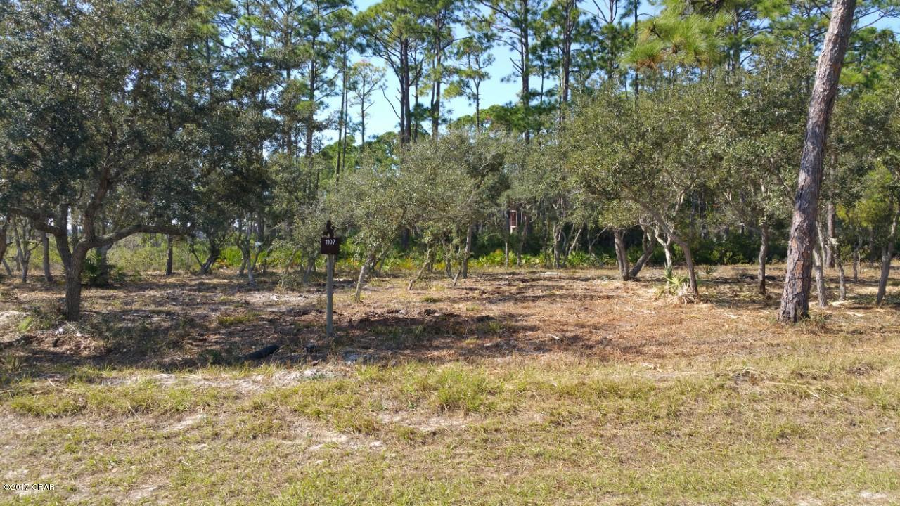 Wild Heron Phase II - Land