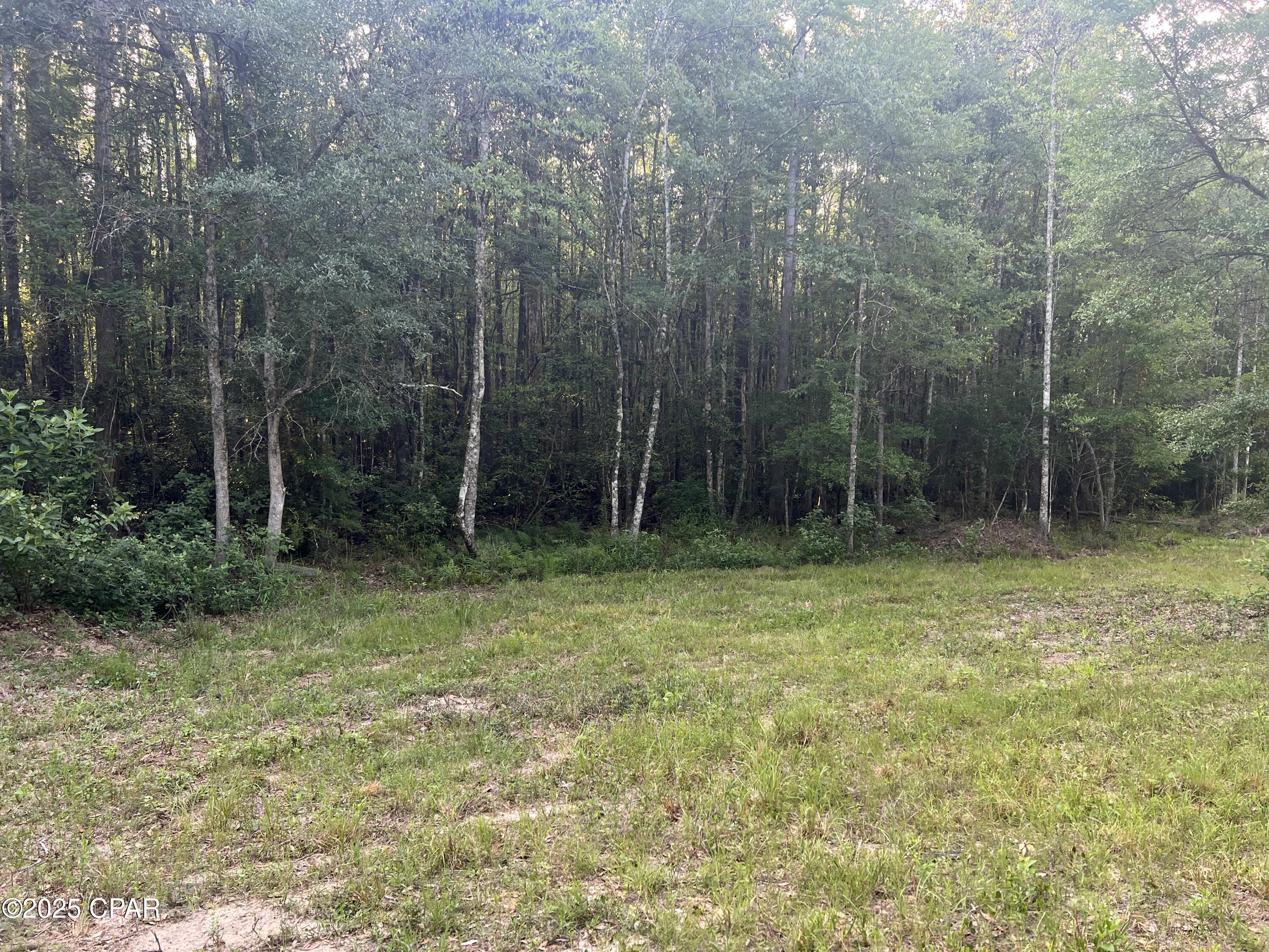Canopy Crossing - Land