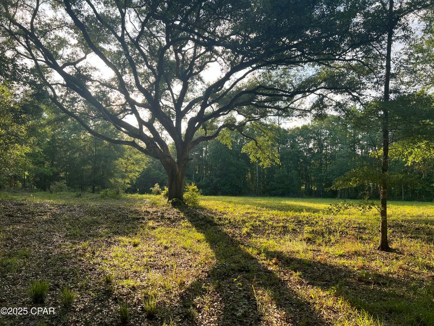 Here is your chance to build your dream home on a beautiful, secluded 5 acre, mol, tract of land in Canopy Crossing Subdivision! Canopy Crossing is a private, gated community, complete with equestrian friendly roads and centuries old oak trees. Its location is just 15 minutes from Interstate 10. To add to the natural aesthetic, all underground utilities are required with junction boxes located near all lots. No unsightly overhead power lines here! Call today  and come and check out this tranquil slice of heaven for yourself. **To be surveyed out of larger acreage parcel upon accepted offer and subsequent fully-executed contract for purchase**