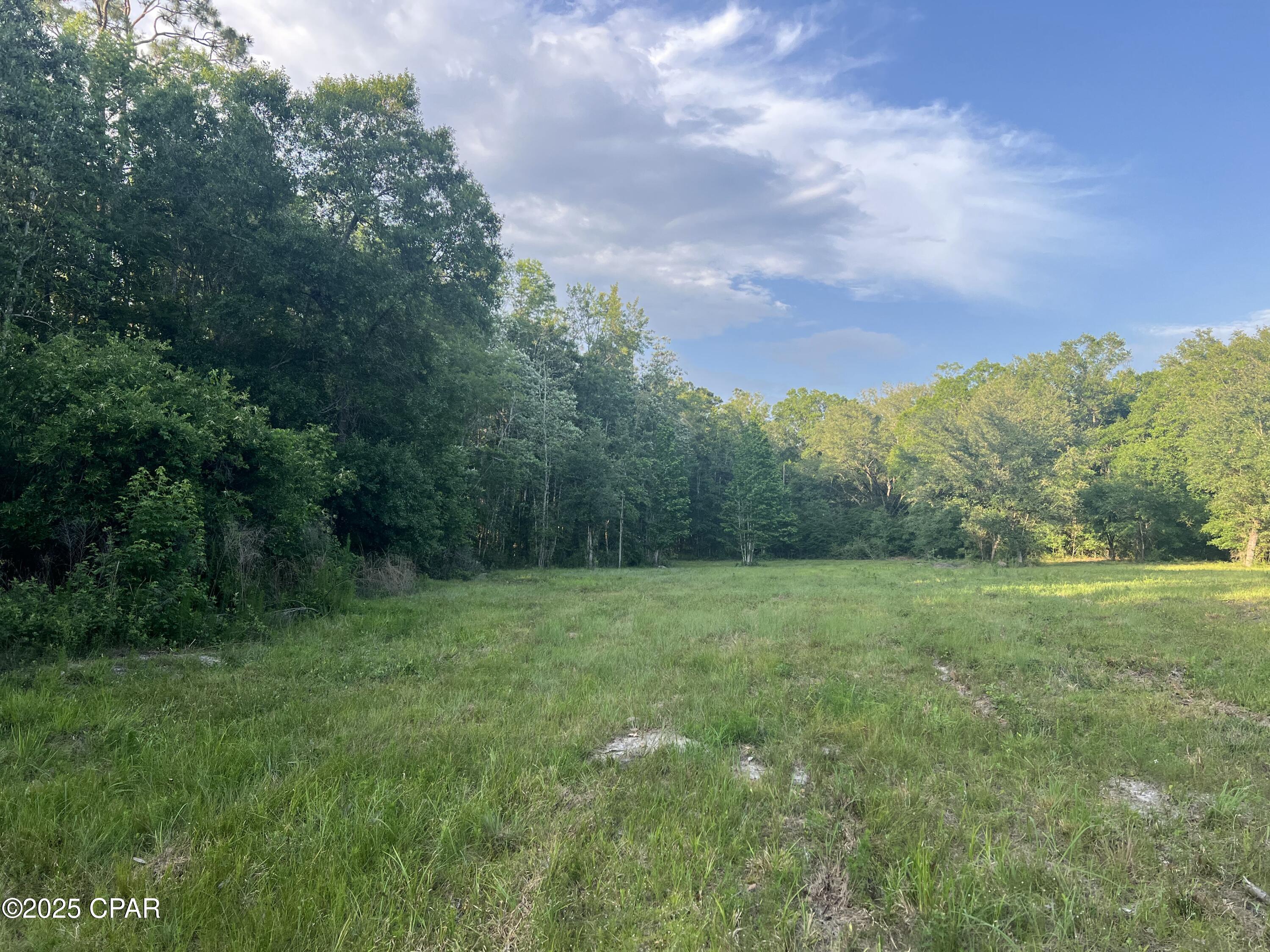 Canopy Crossing - Land