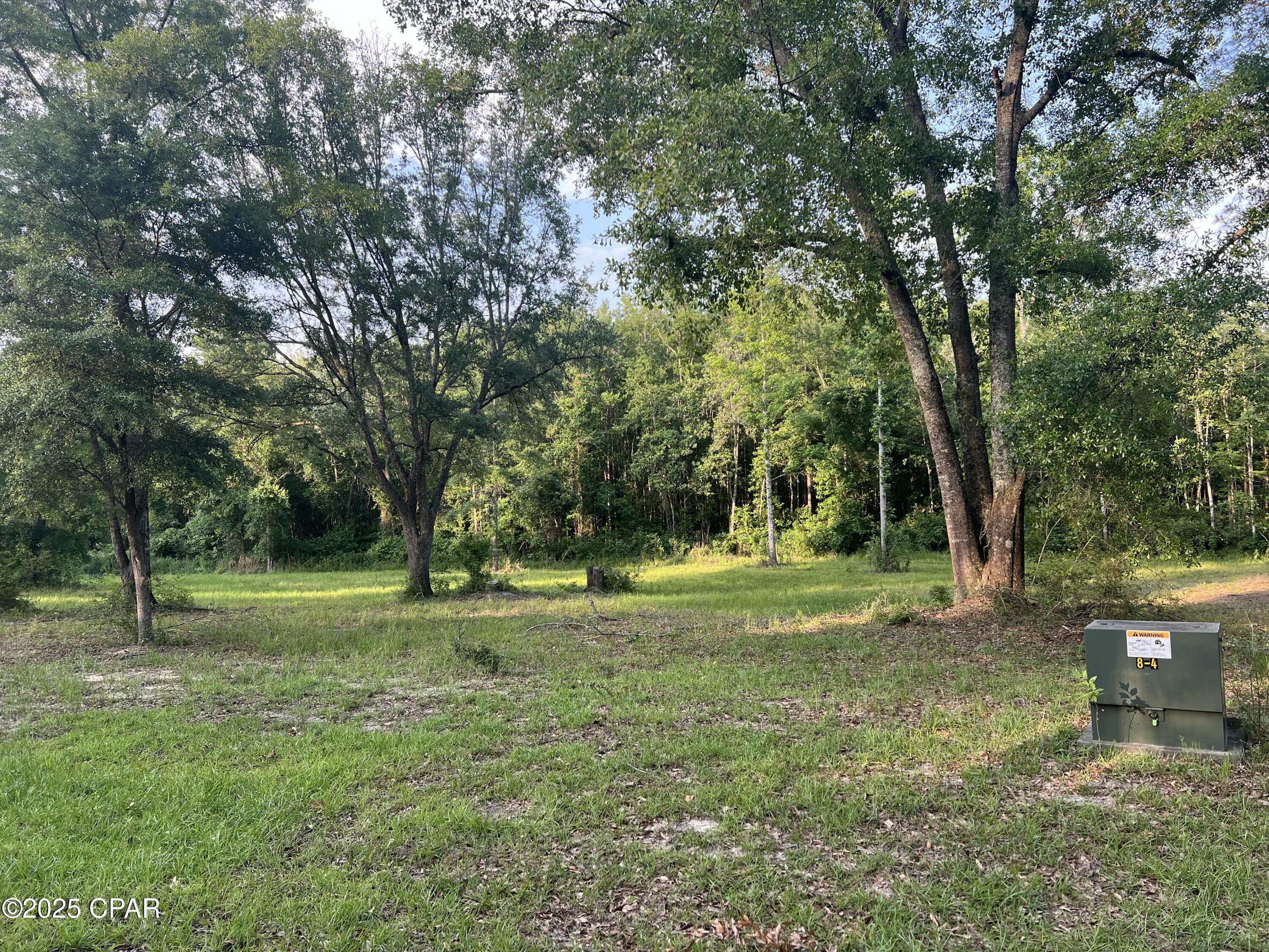 Canopy Crossing - Land