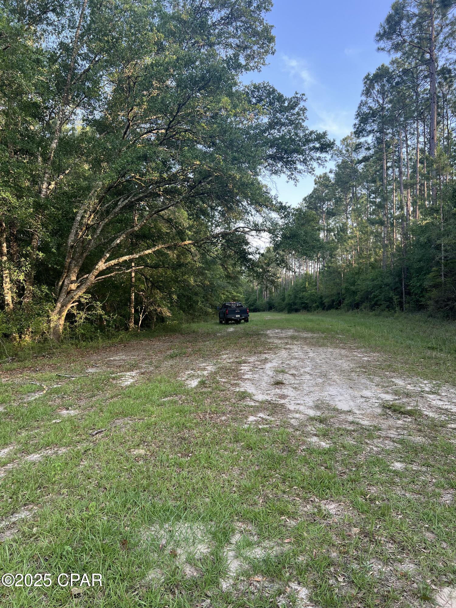 Canopy Crossing - Land