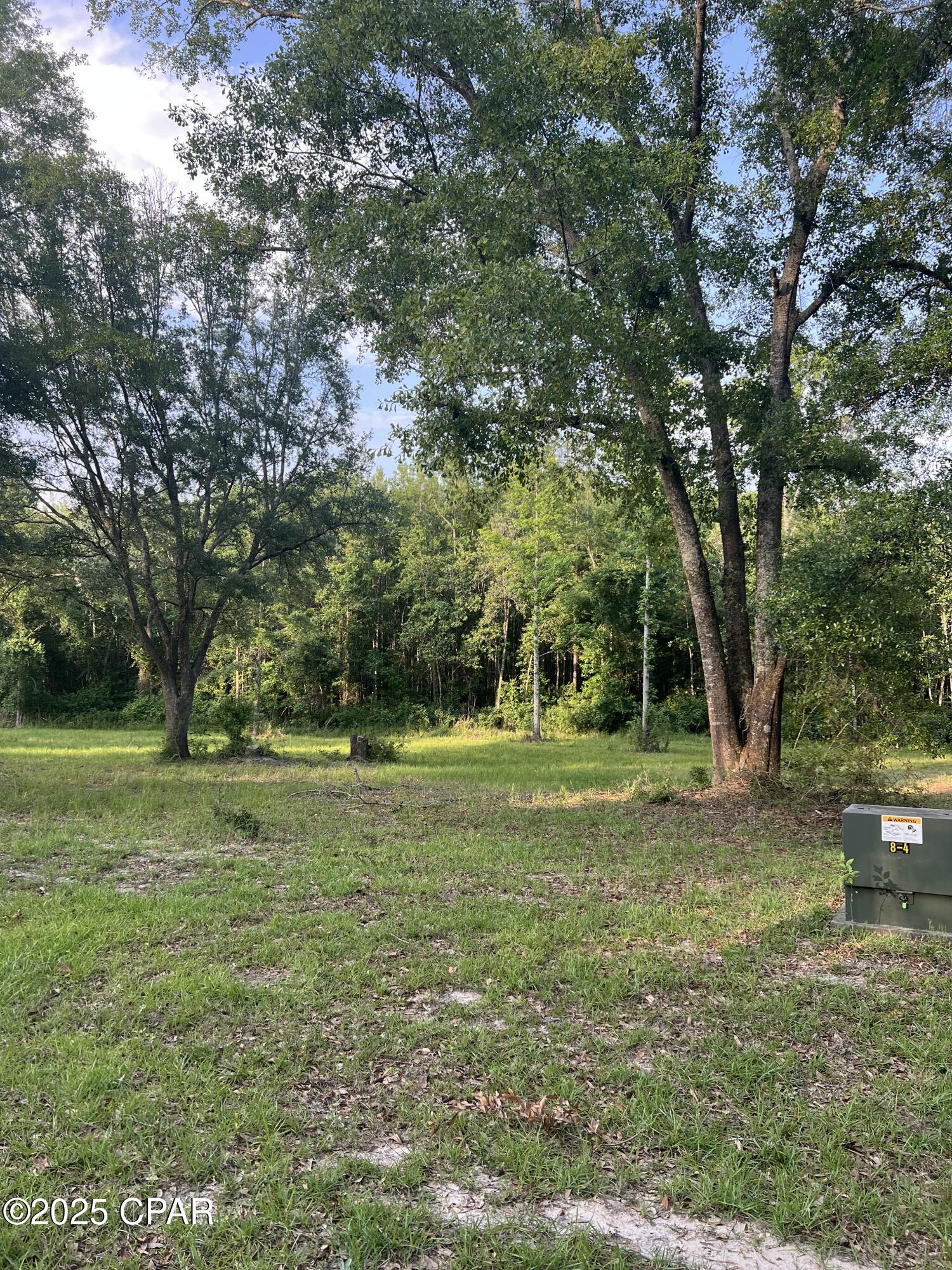 Canopy Crossing - Land