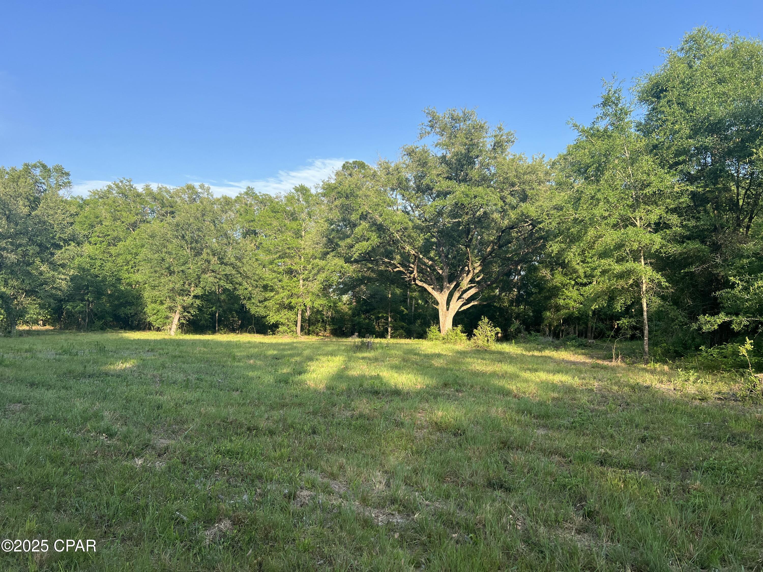Canopy Crossing - Land