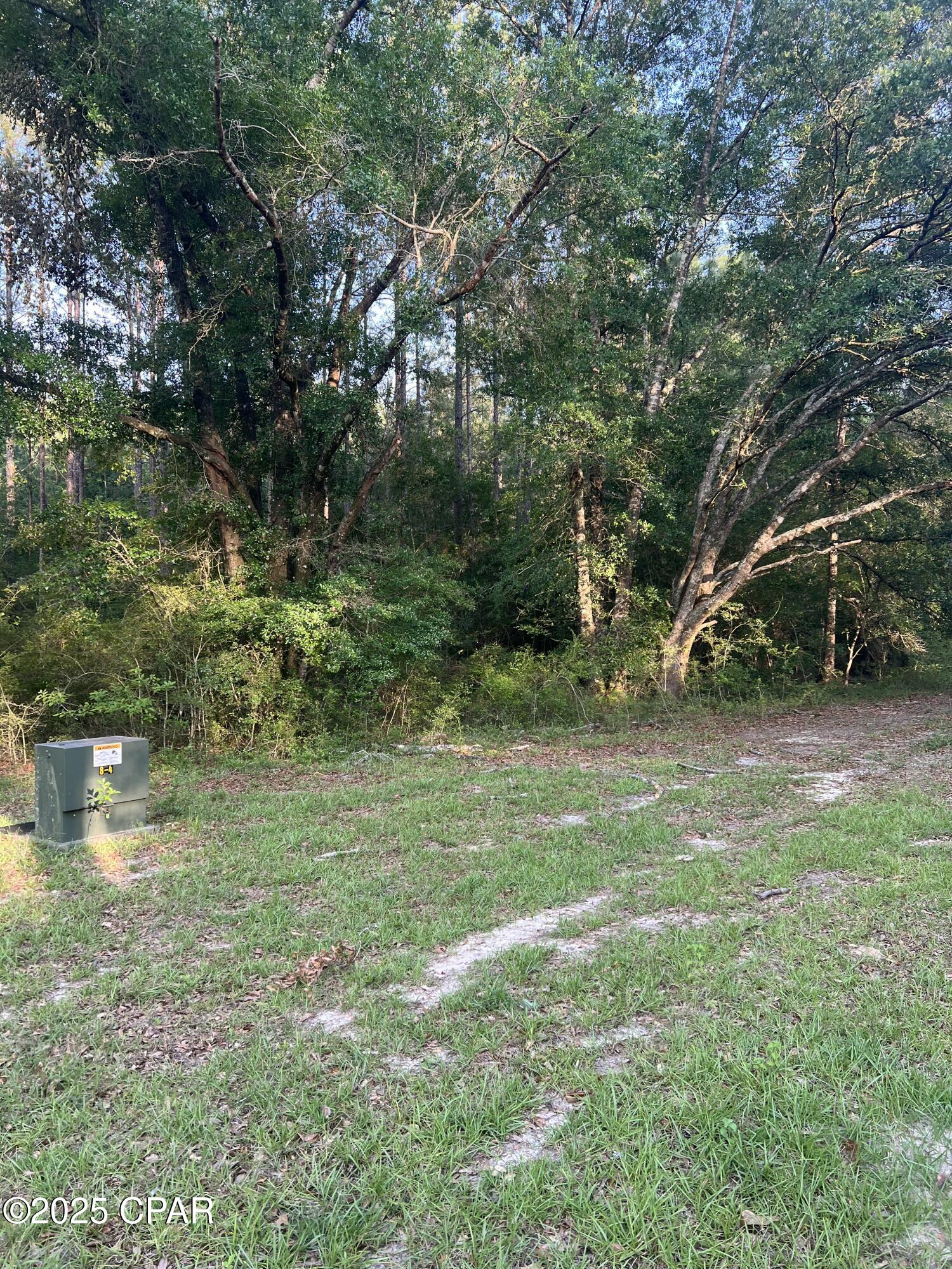 Canopy Crossing - Land