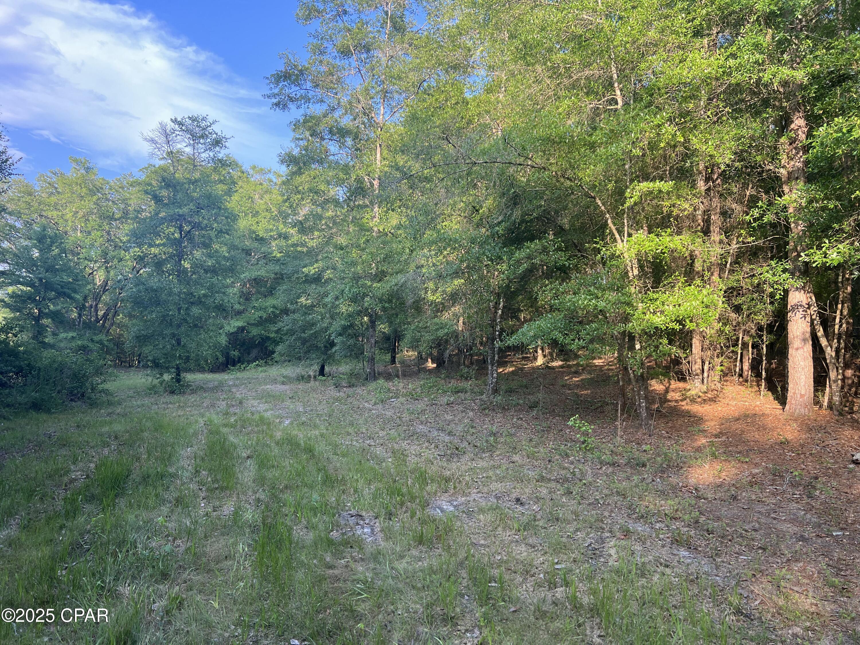 Canopy Crossing - Land