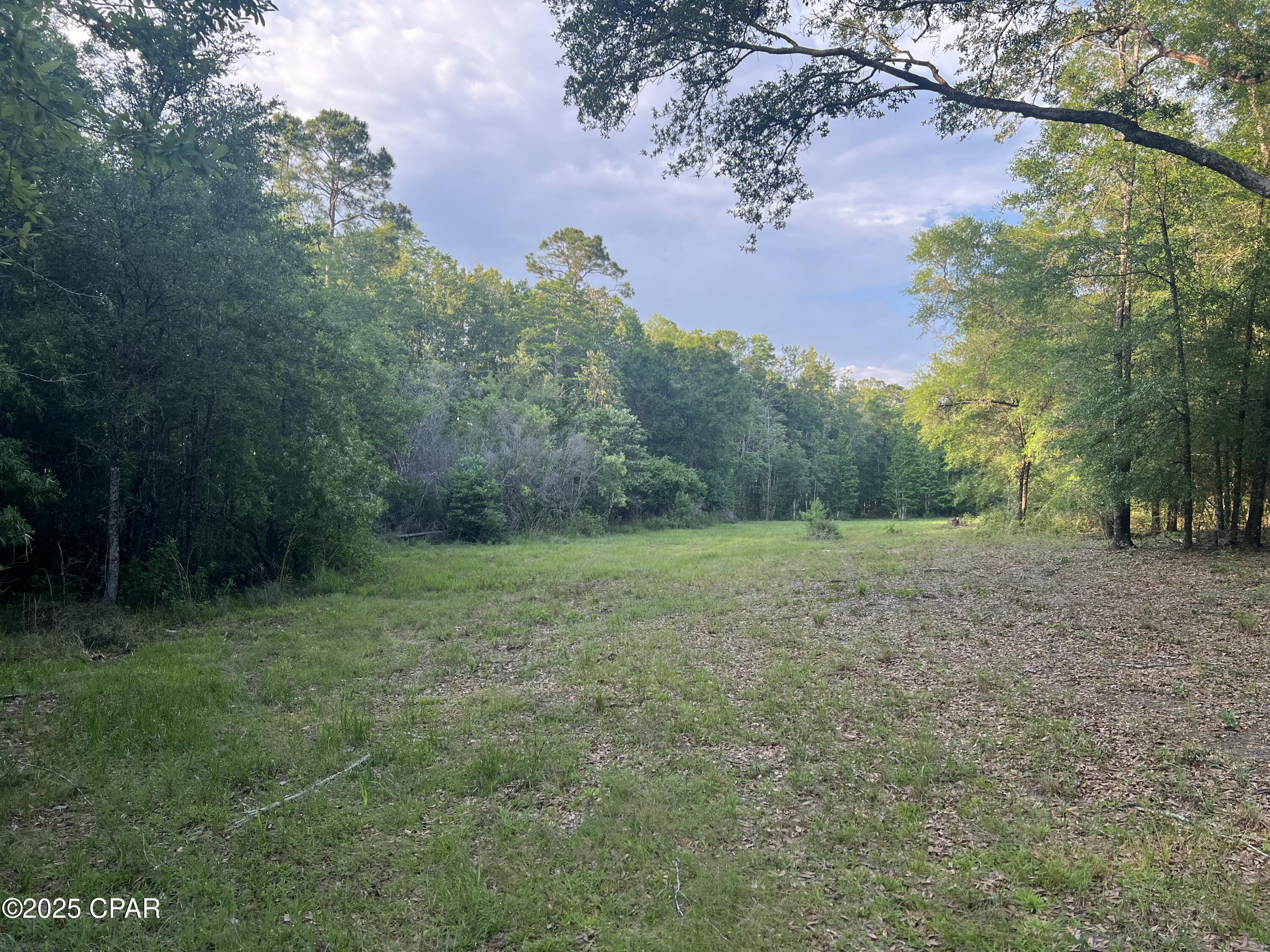 Canopy Crossing - Land
