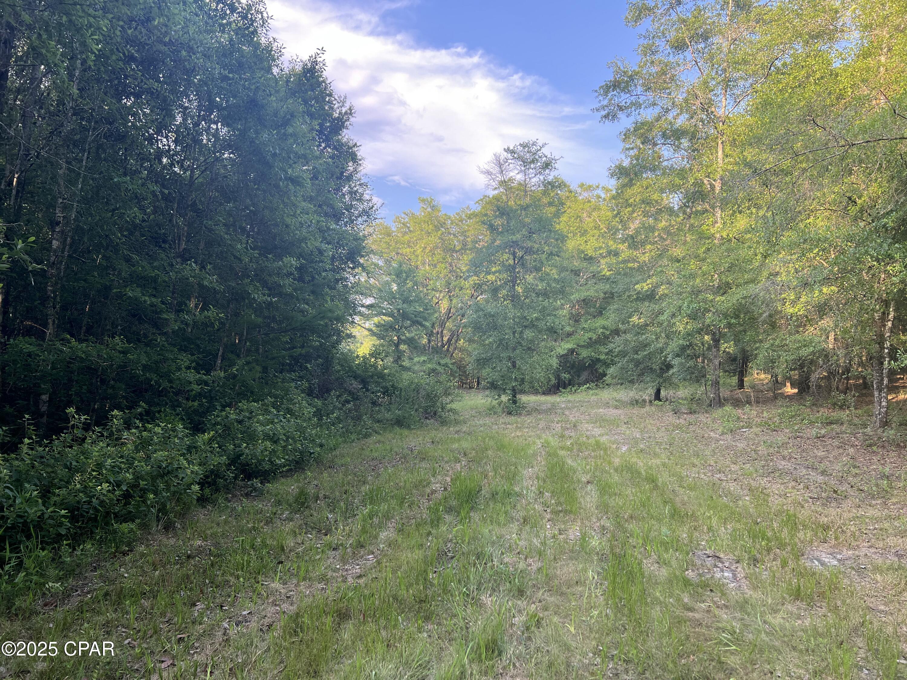 Canopy Crossing - Land