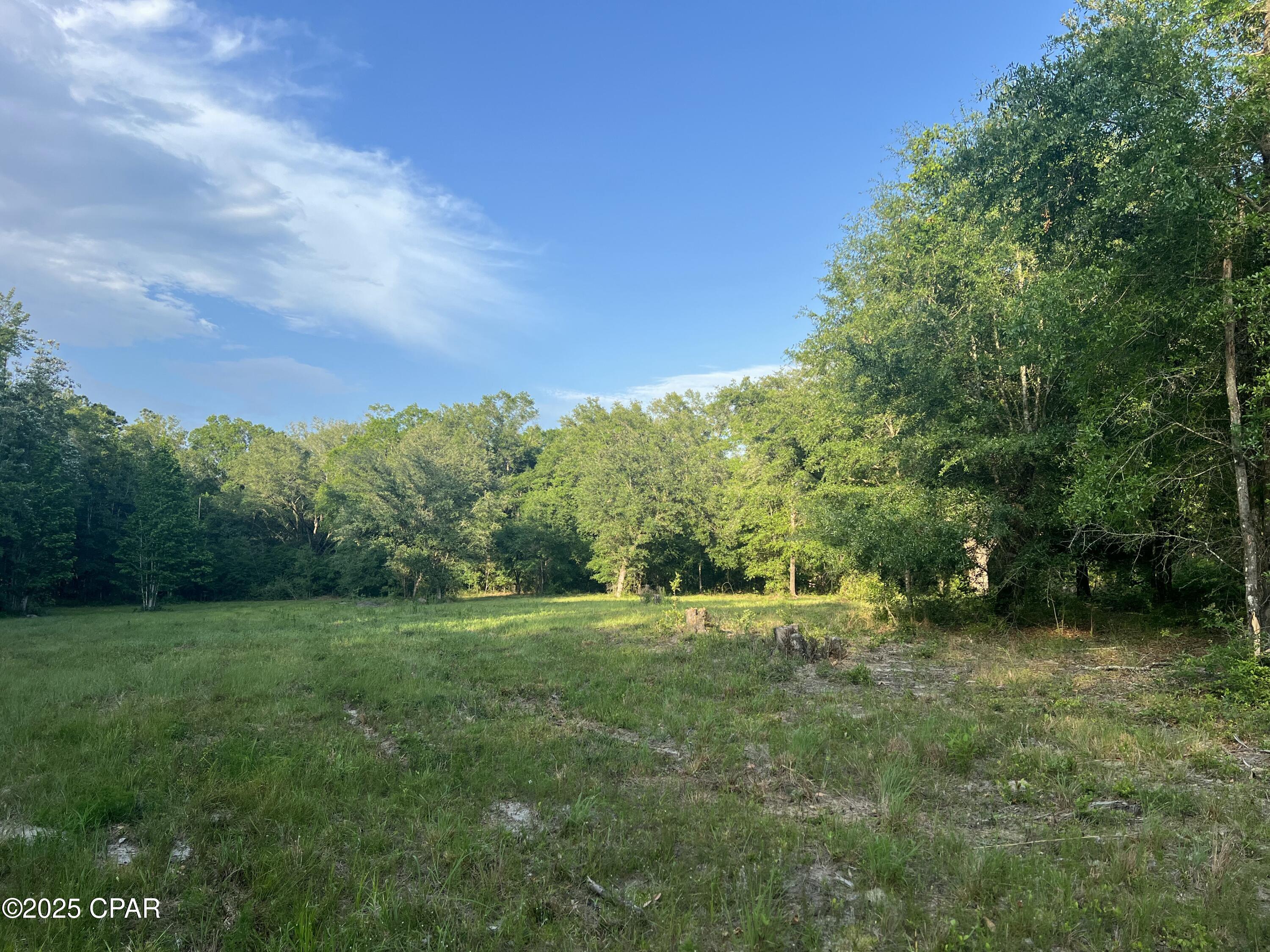 Canopy Crossing - Land