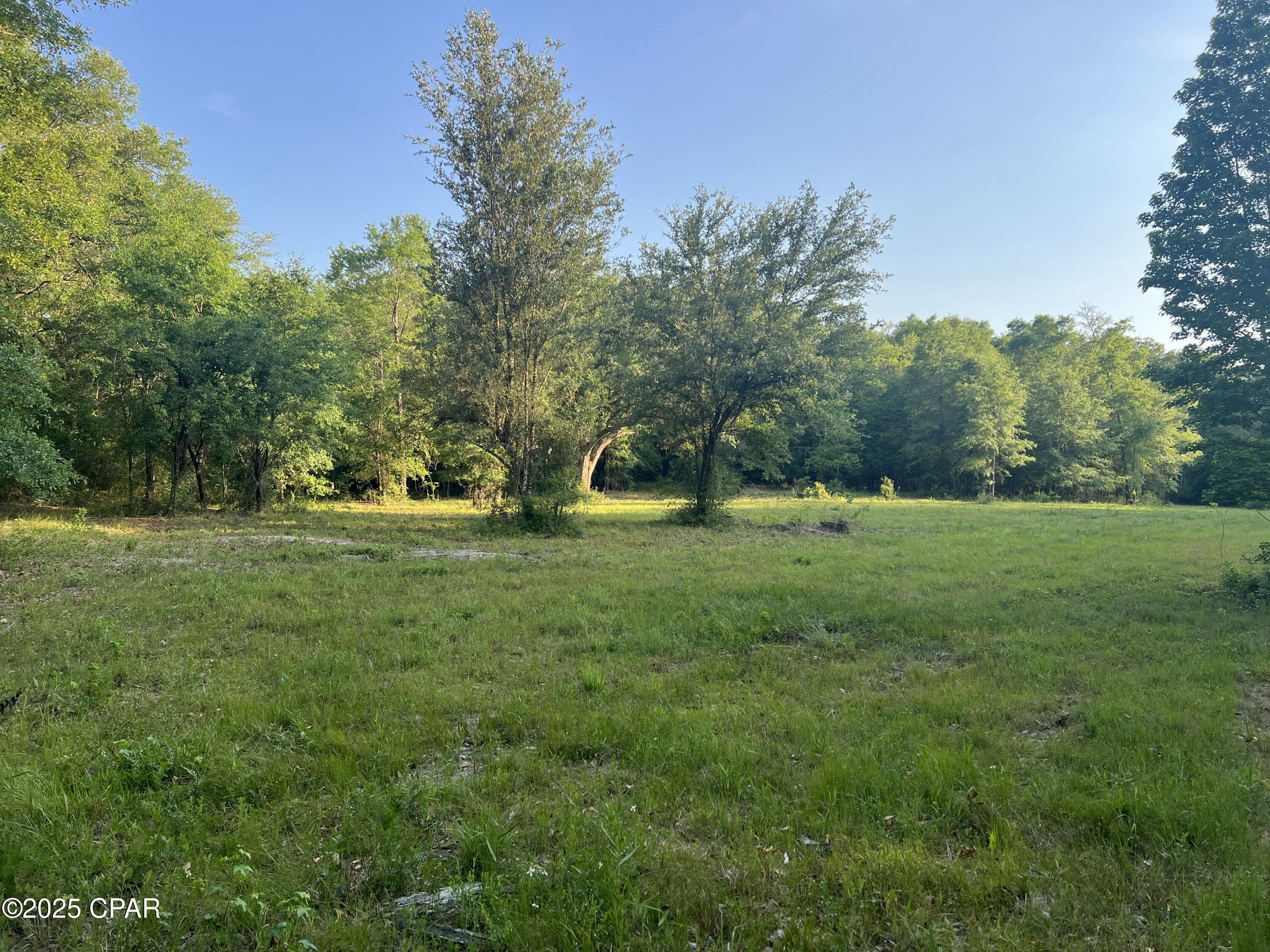 Canopy Crossing - Land