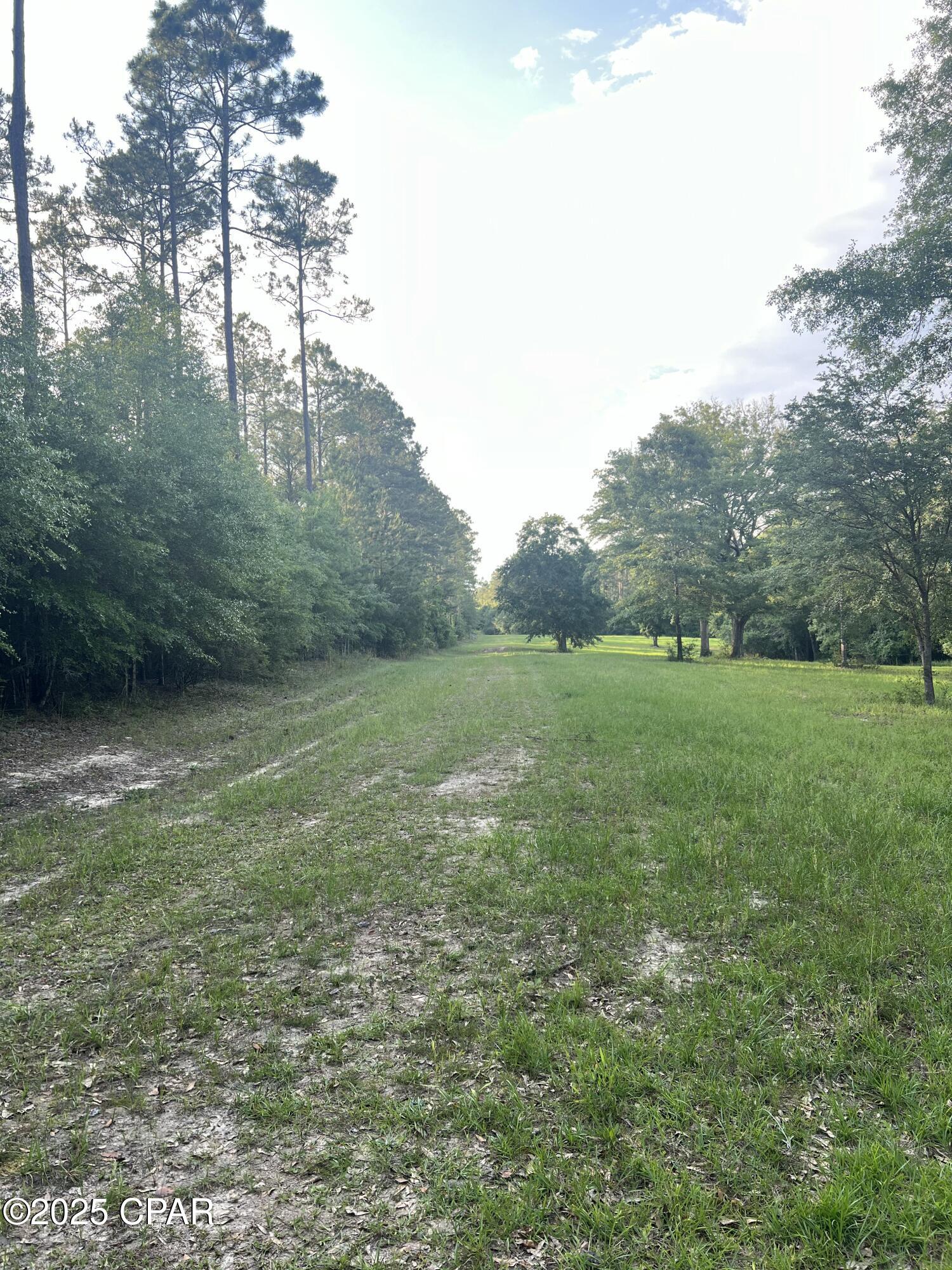 Canopy Crossing - Land