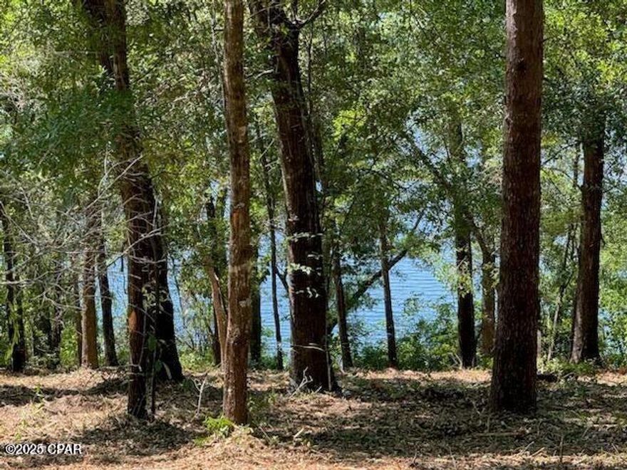 This lot is over an acre and has 87 feet of waterfront on Lake Suzanne in the gated community of Leisure Lakes. Offering a perfect location to build your dream home or lake house getaway, you will enjoy all the amenities that the Leisure Lakes community has to offer. A community pool, boat ramp, basketball courts, playground, pavilion with picnic area and much more await you. The lot has been cleared and mulched to allow an easier walk down to the water. Don't miss out on the opportunity to build on this spacious lot less than 45 minutes to the beach!