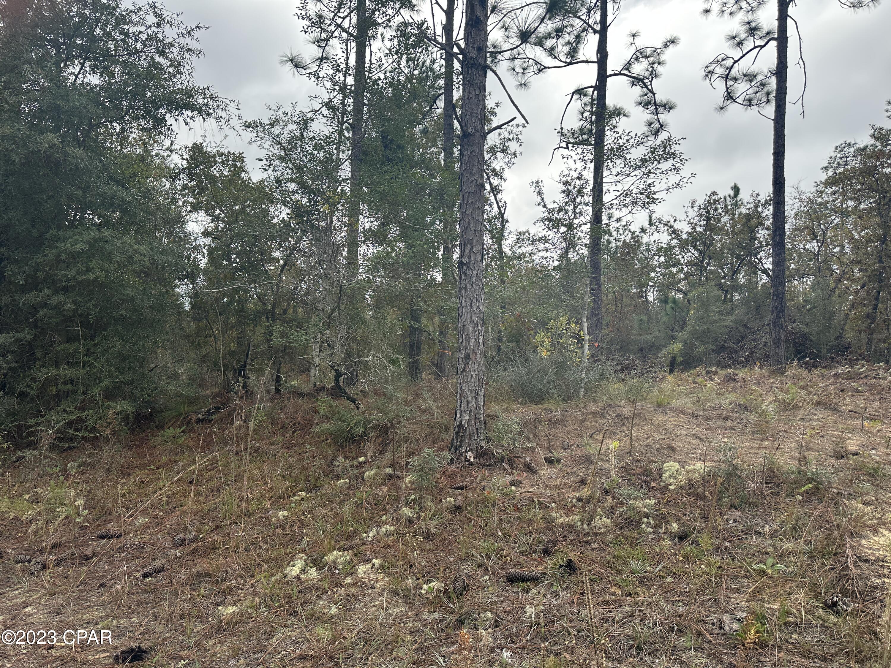 Compass Lake Hills Unit 2 - Land