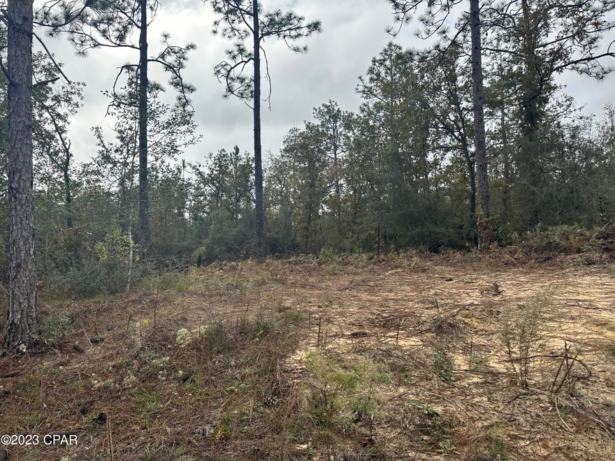 1.6 Acre lot that is high and dry on paved Nortek Rd at Compass Lake in the Hills. The owner has cleared part of the land.  The property is easy access to Hwy 231 that leads to Panama City.  It is within 20 minutes of Marianna.  At the moment the HOA is voluntary.