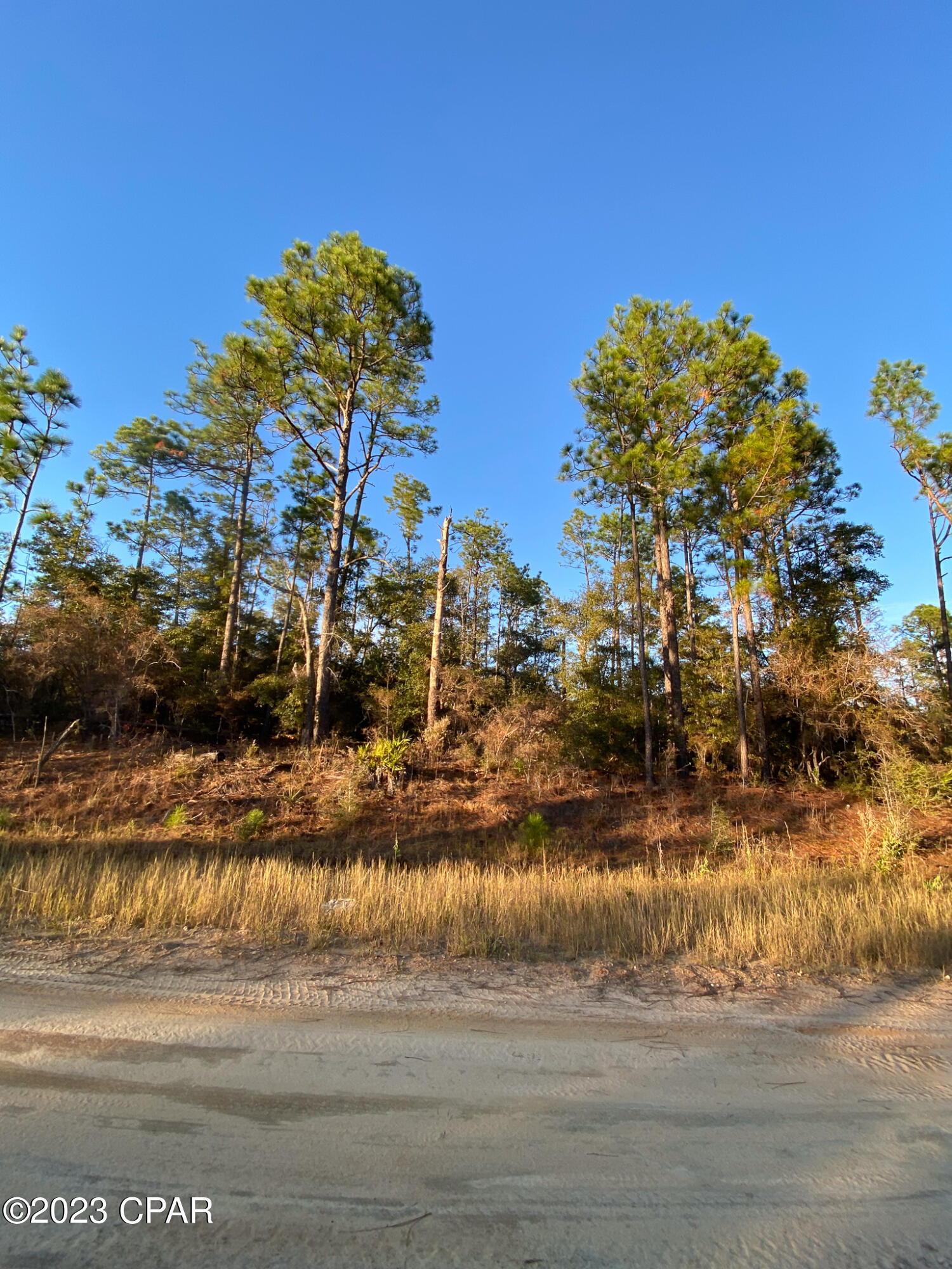 Compass Lake Hills Unit 5 - Land