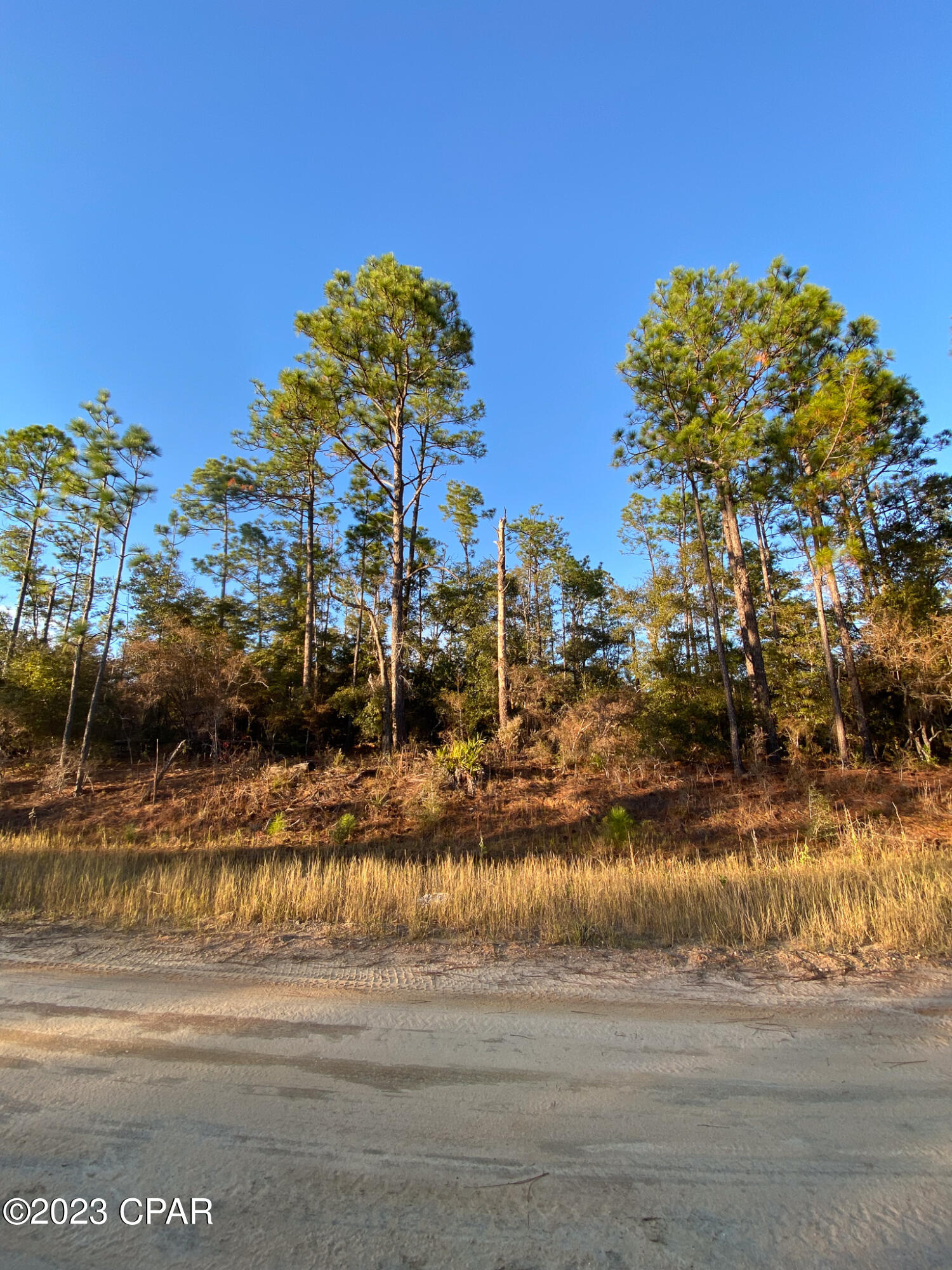 Compass Lake Hills Unit 5 - Land