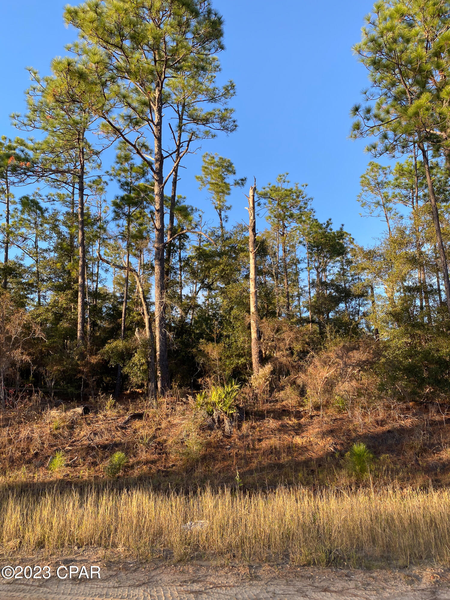 Compass Lake Hills Unit 5 - Land