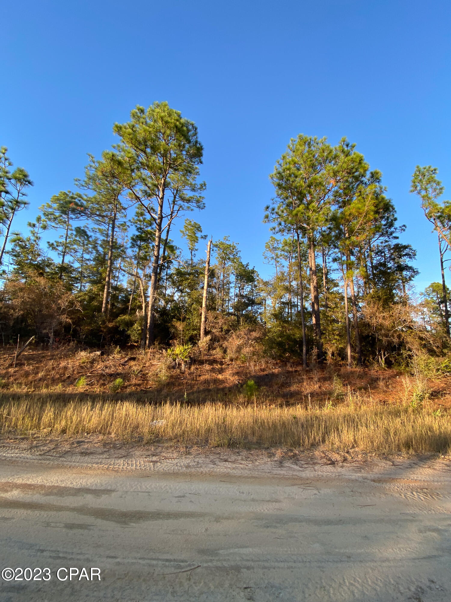 Compass Lake Hills Unit 5 - Land