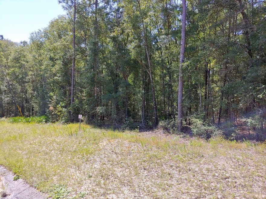Great building lot currently zoned LOW DENSITY RESIDENTIAL.

Close to Freeport, Panama City Beach airport and I-10