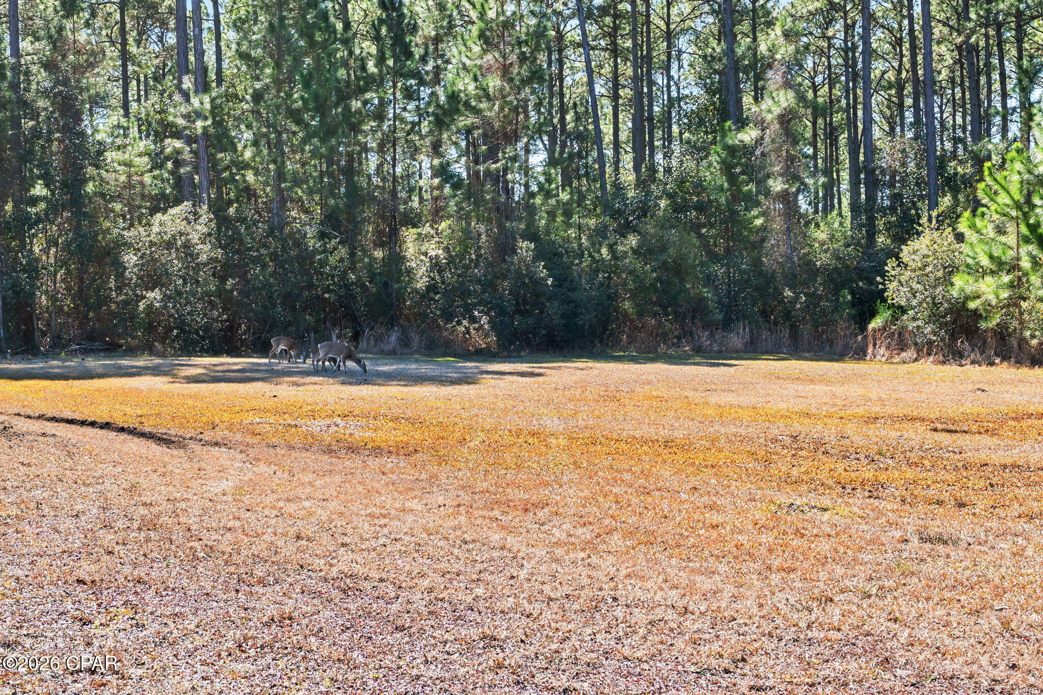 Rivercamps On Crooked Creek - Residential