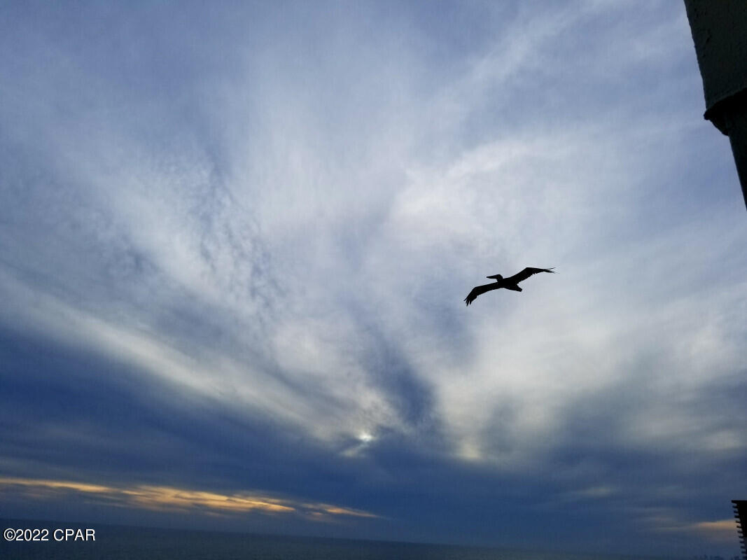 The Commodore - Residential